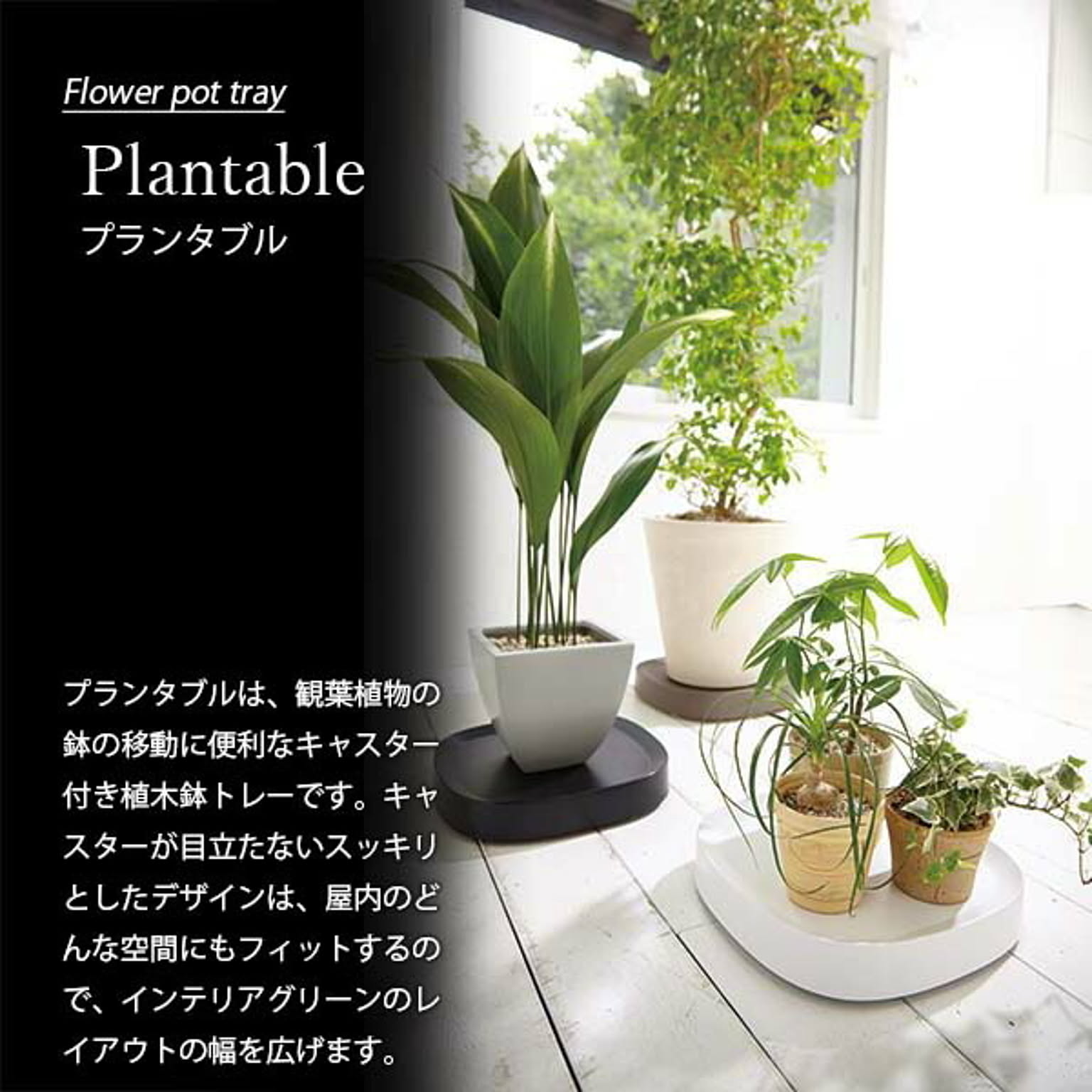 プランター・植木鉢