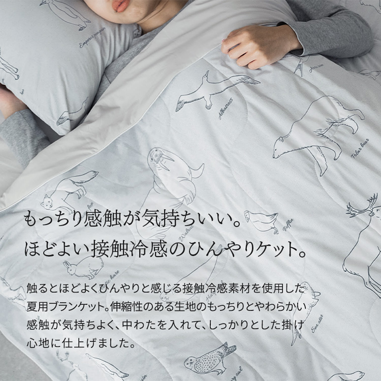 ブランケット・毛布