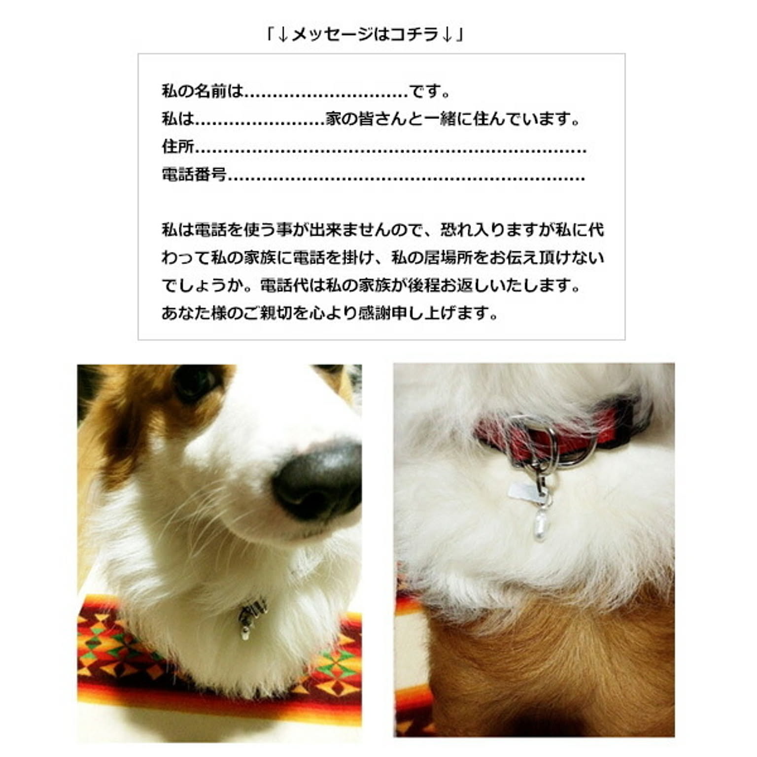 犬用インテリア・犬用家具