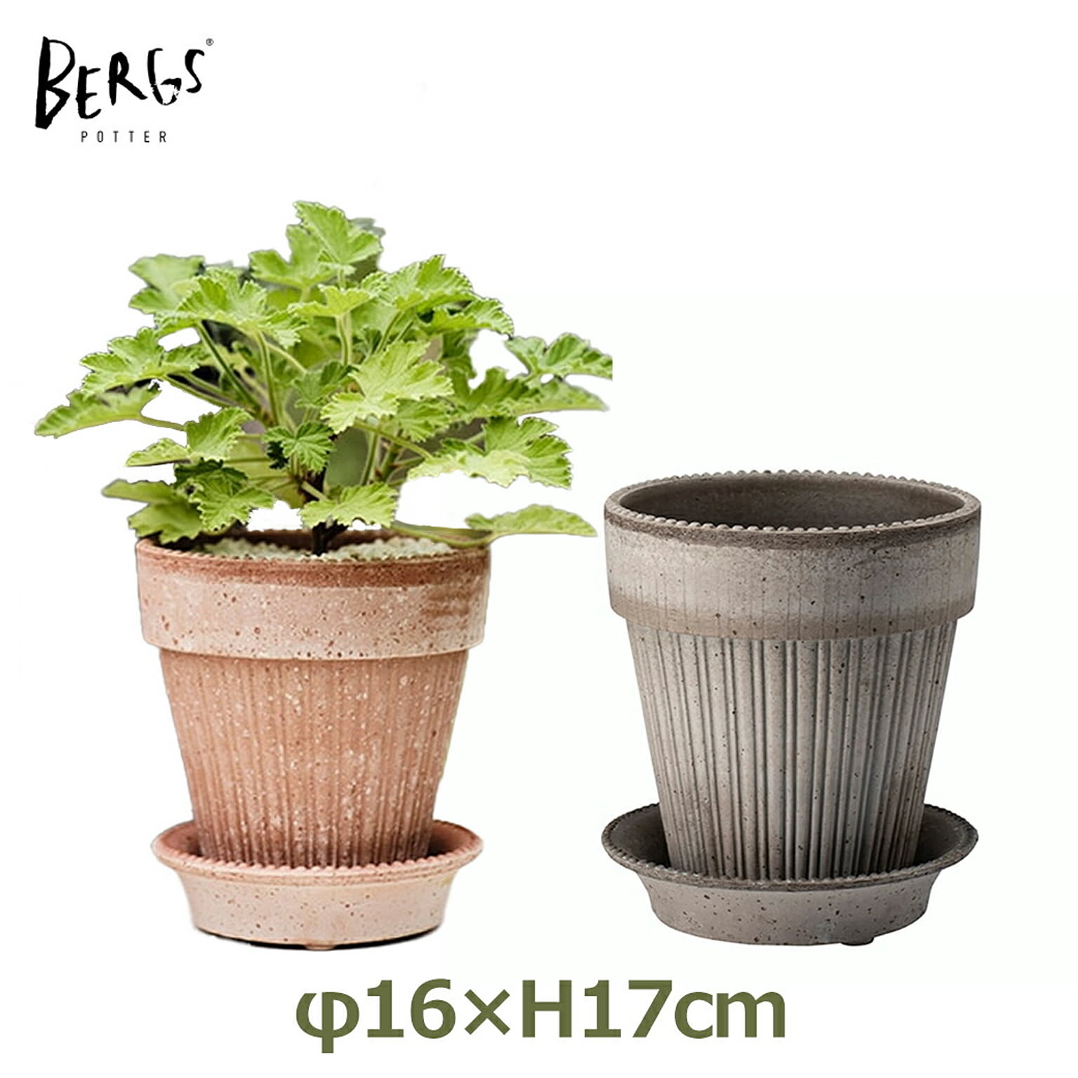 プランター・植木鉢