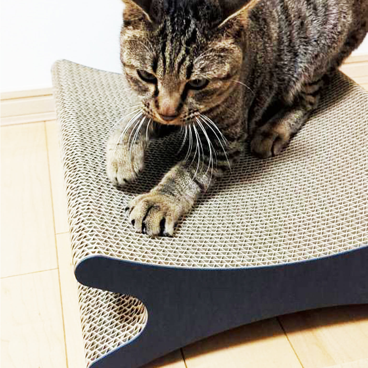 猫用インテリア・猫用家具