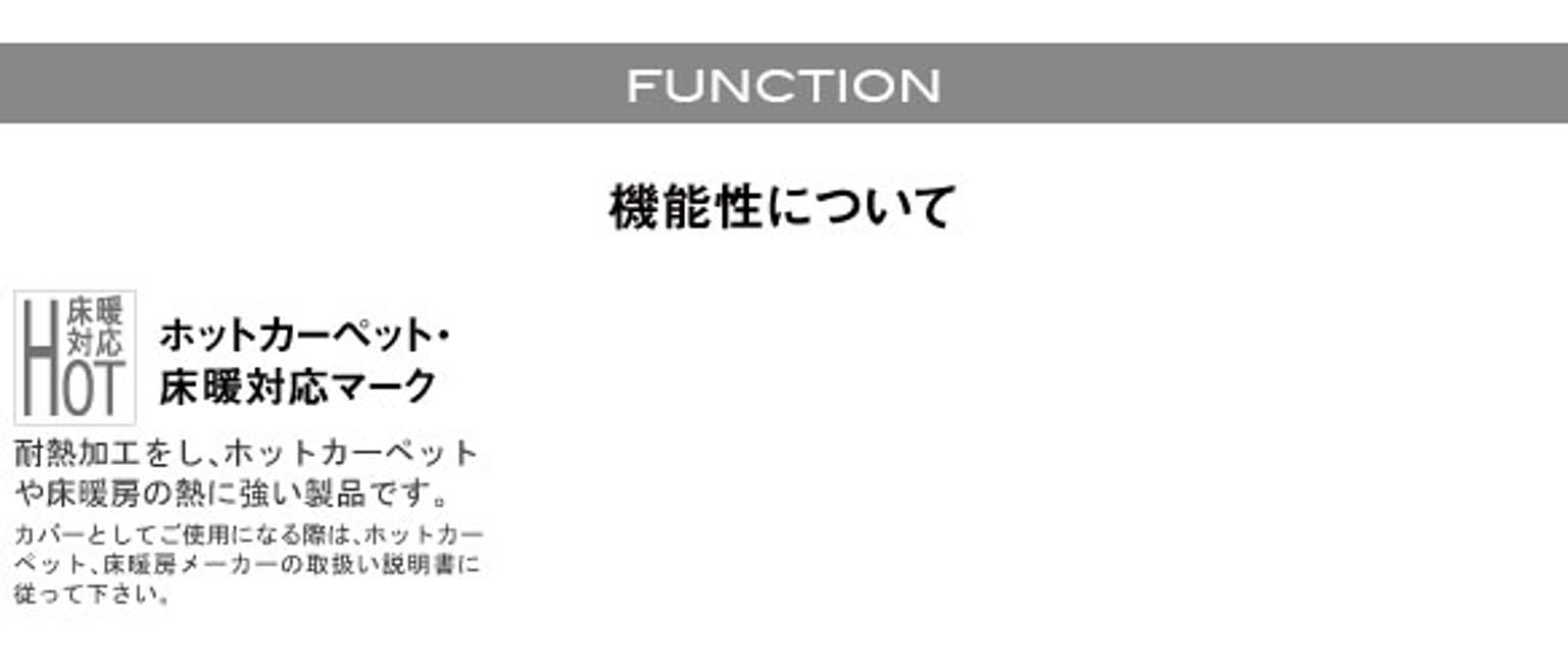 ラグ