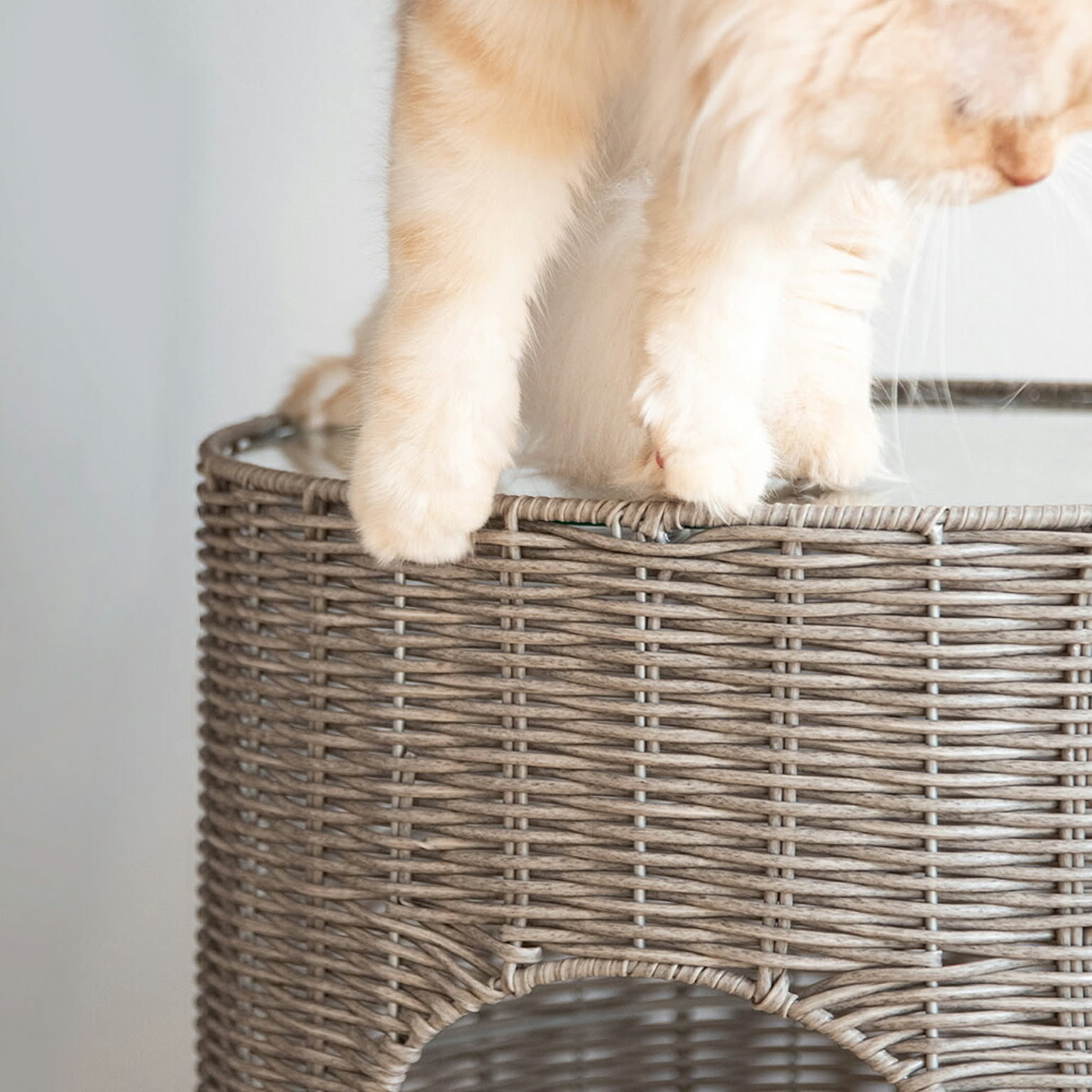 猫用インテリア・猫用家具