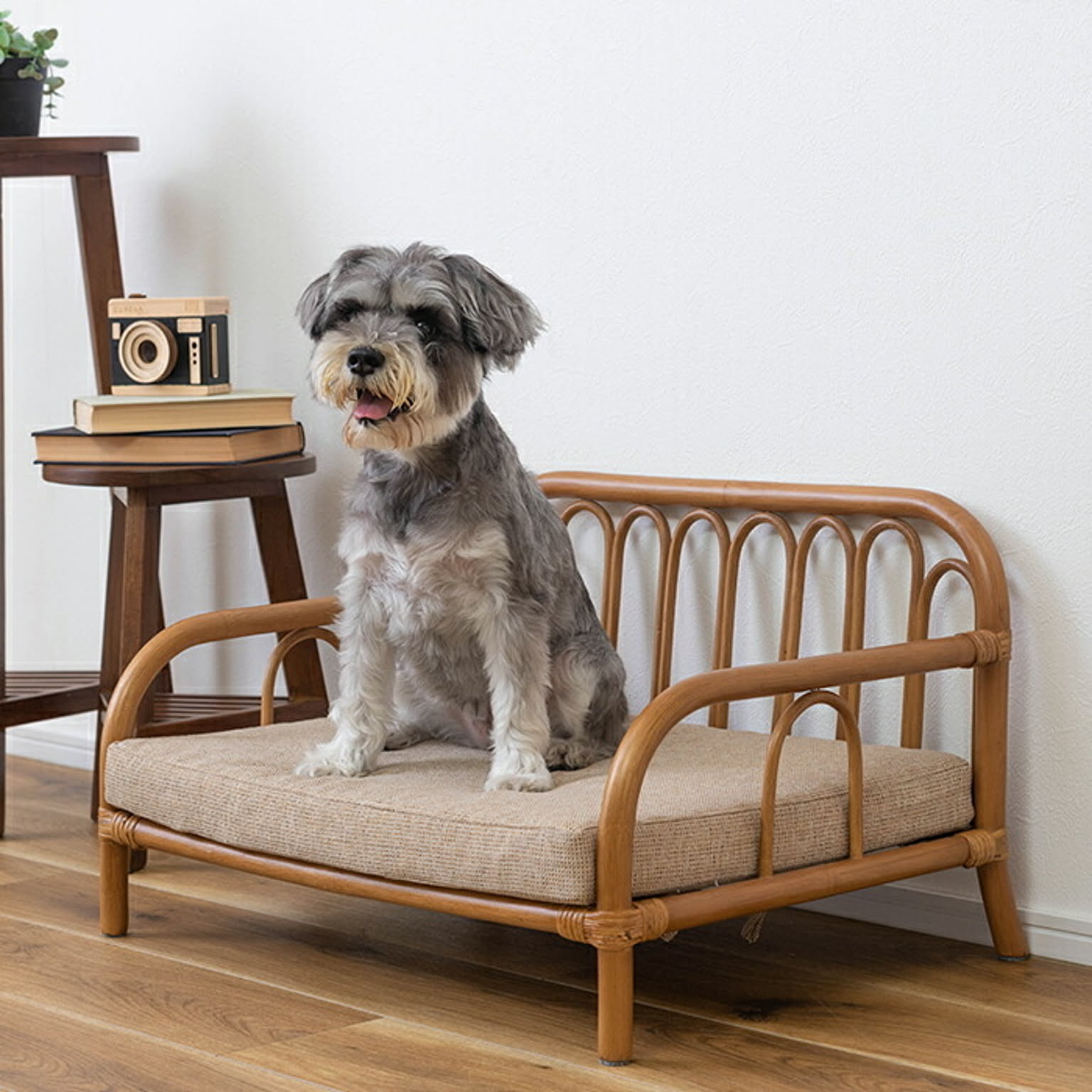 犬用インテリア・犬用家具