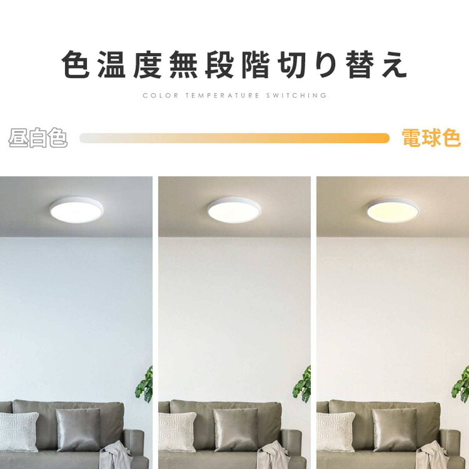 シーリングライト