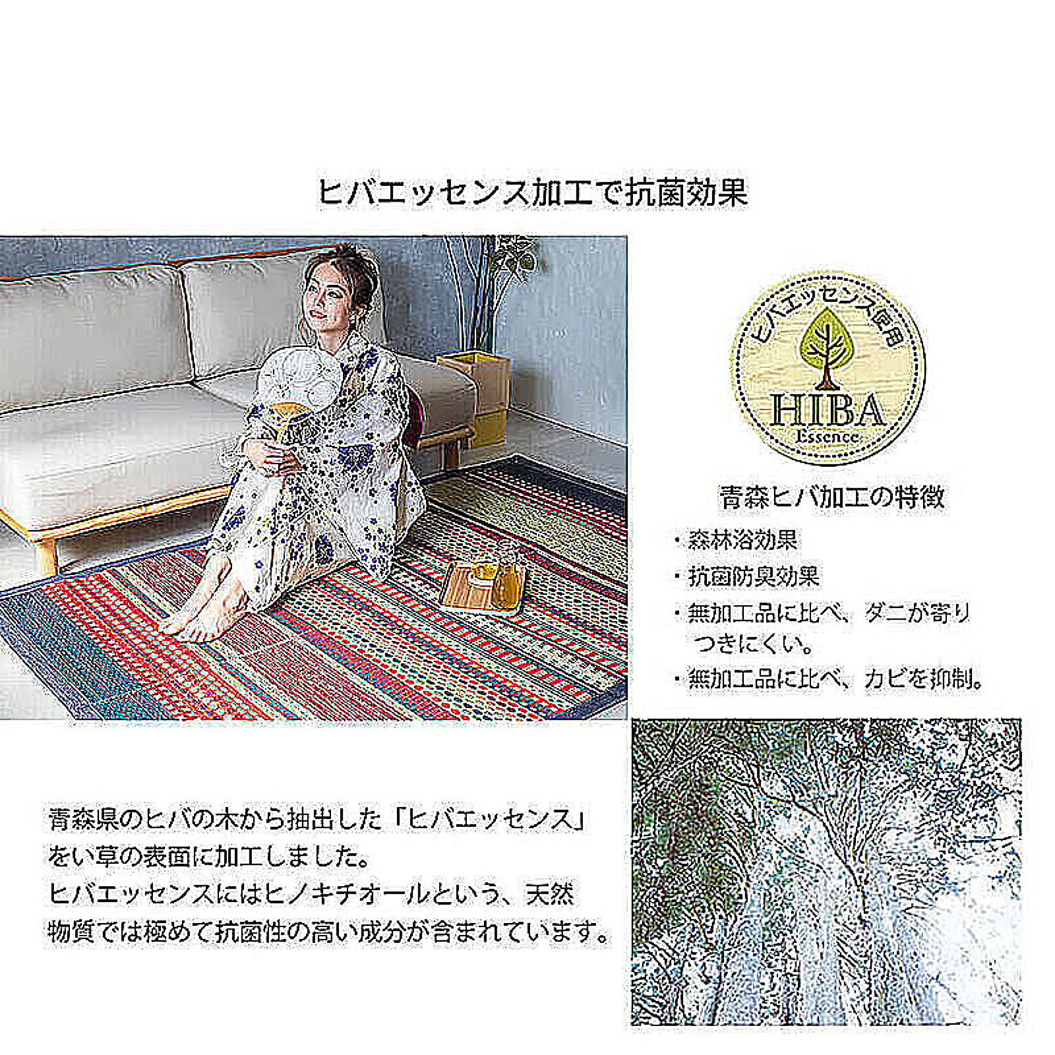 ござ・い草ラグ