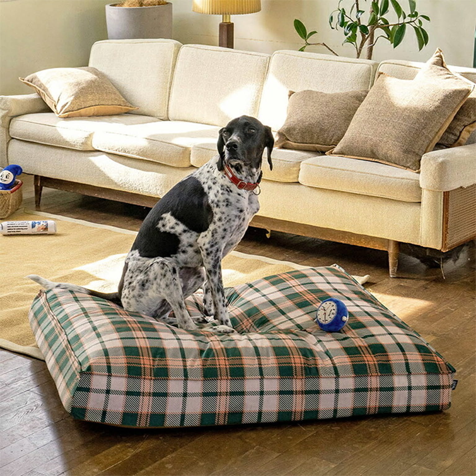 その他の動物のインテリア・その他の動物の家具