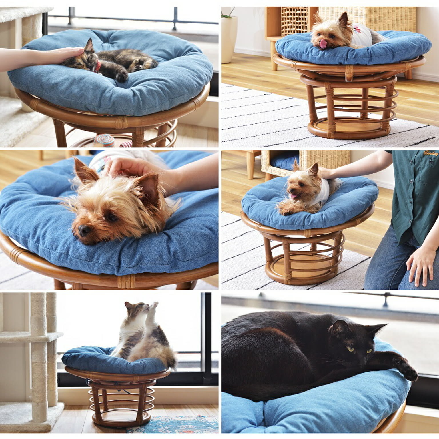 犬用インテリア・犬用家具