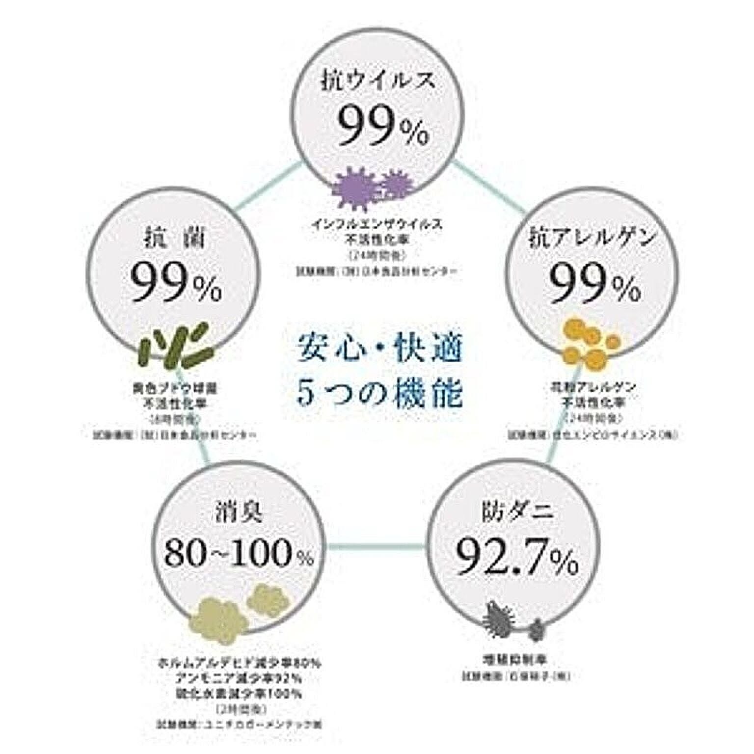 ラグ