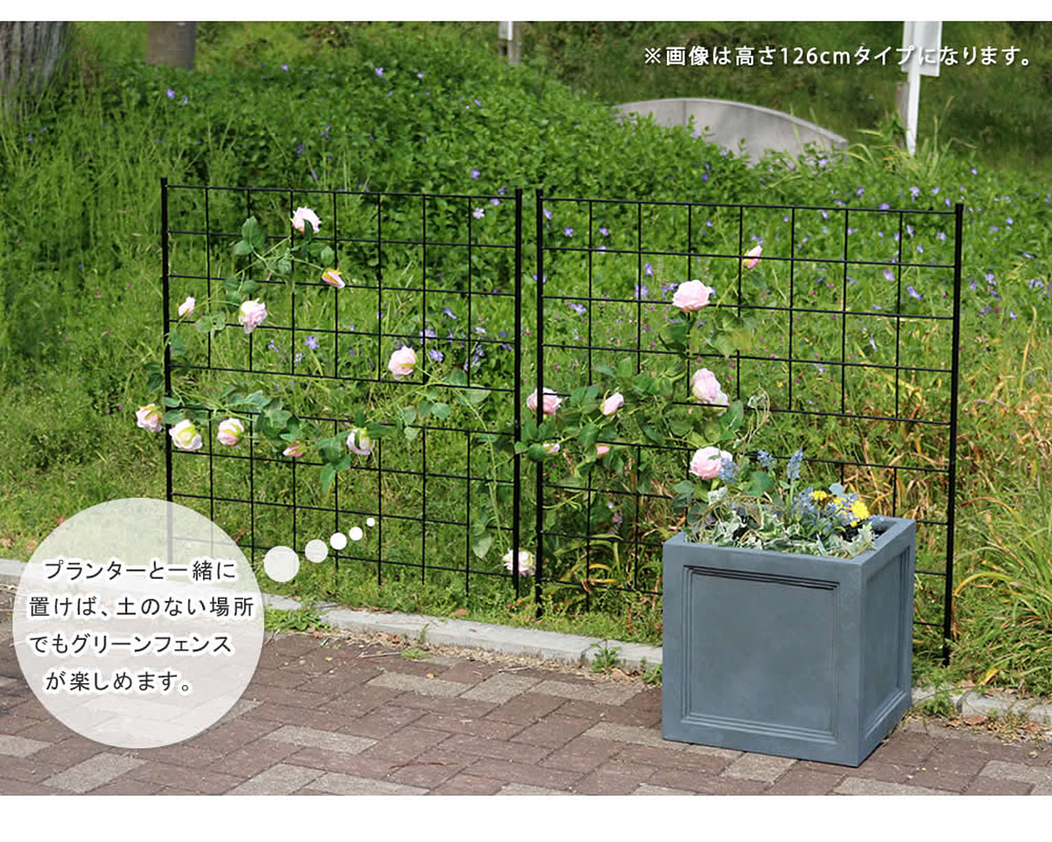 エクステリア