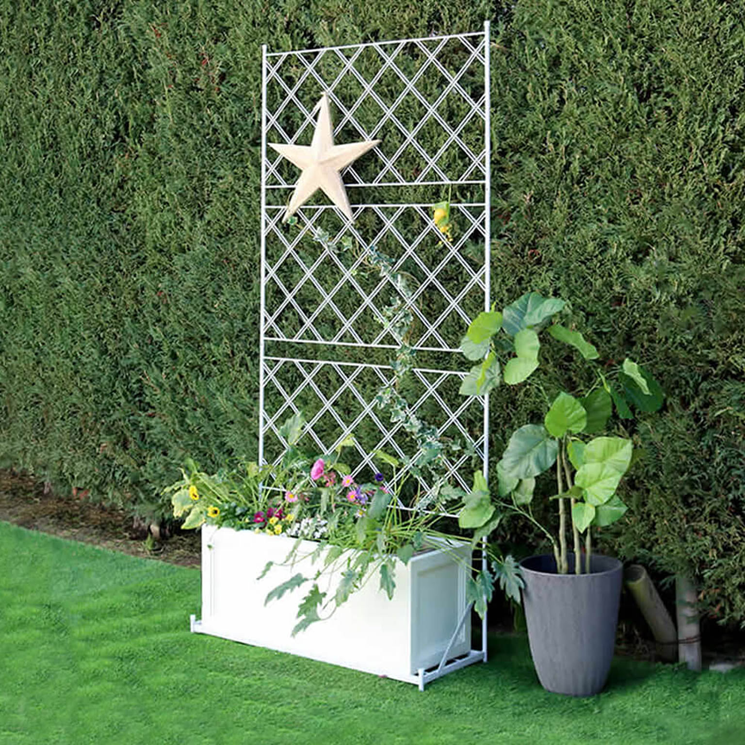 プランター・植木鉢