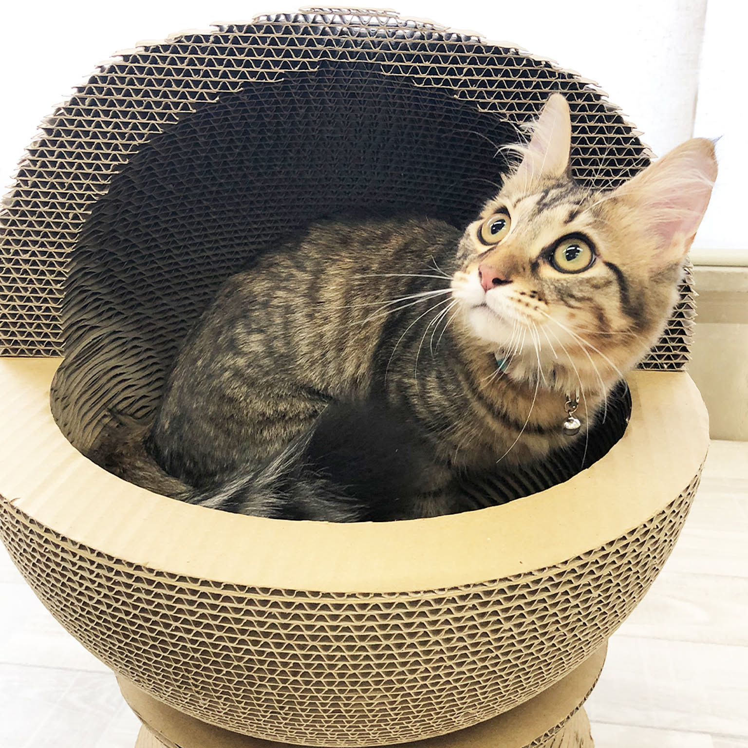 猫用インテリア・猫用家具