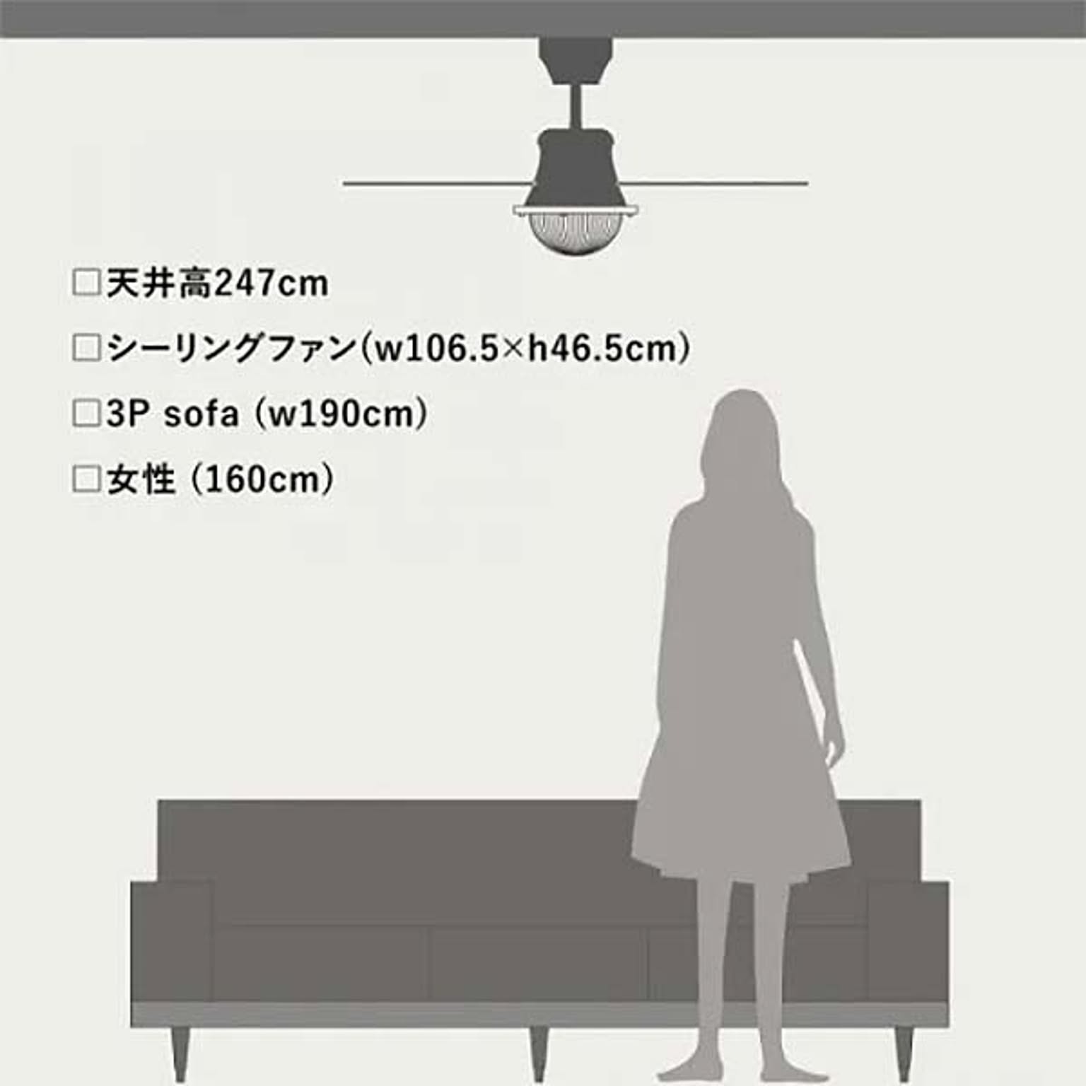 シーリングファンライト