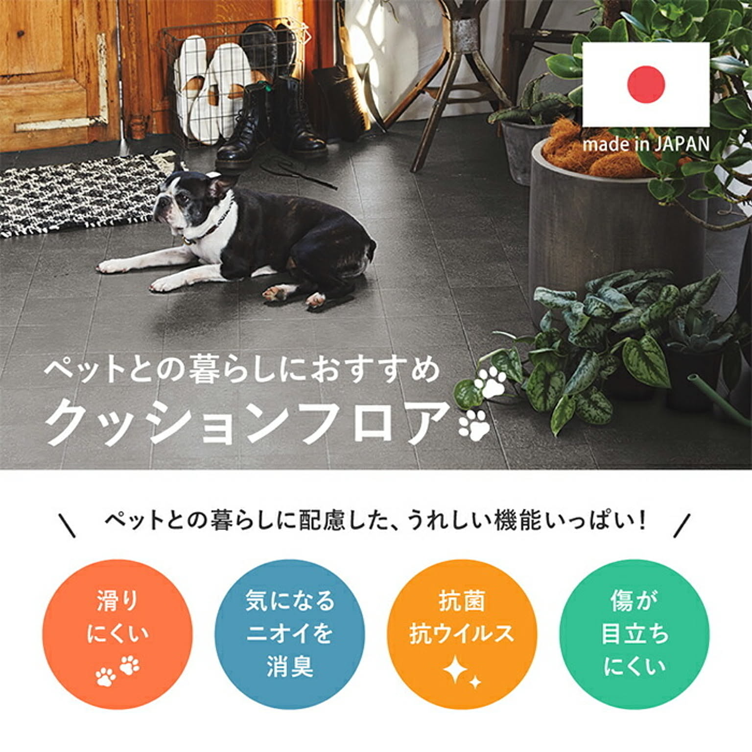 ござ・い草ラグ