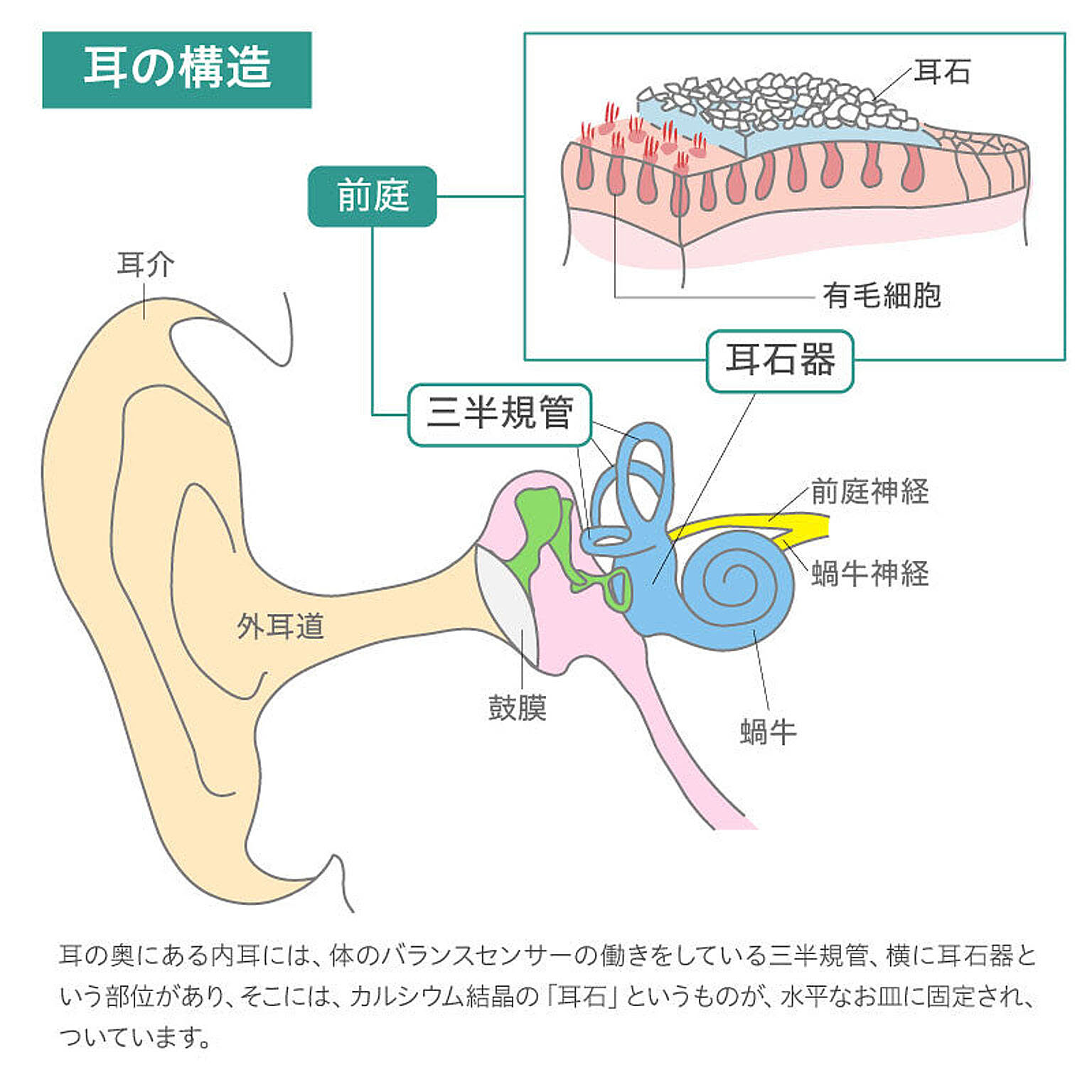 枕