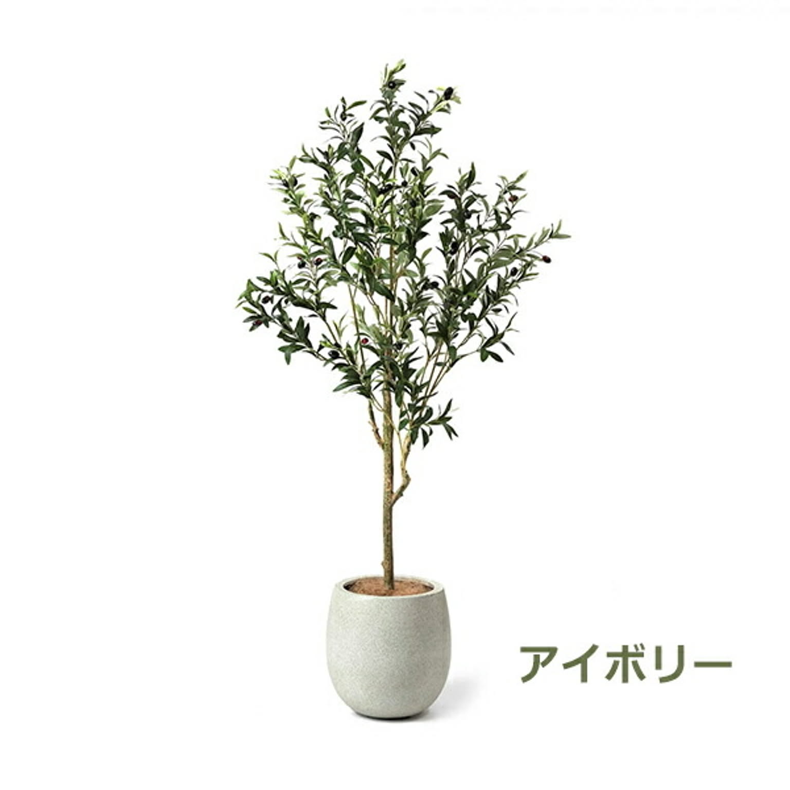 GREENPARK オリーブ エッグポット H155cm PRGR-1261 プリマ