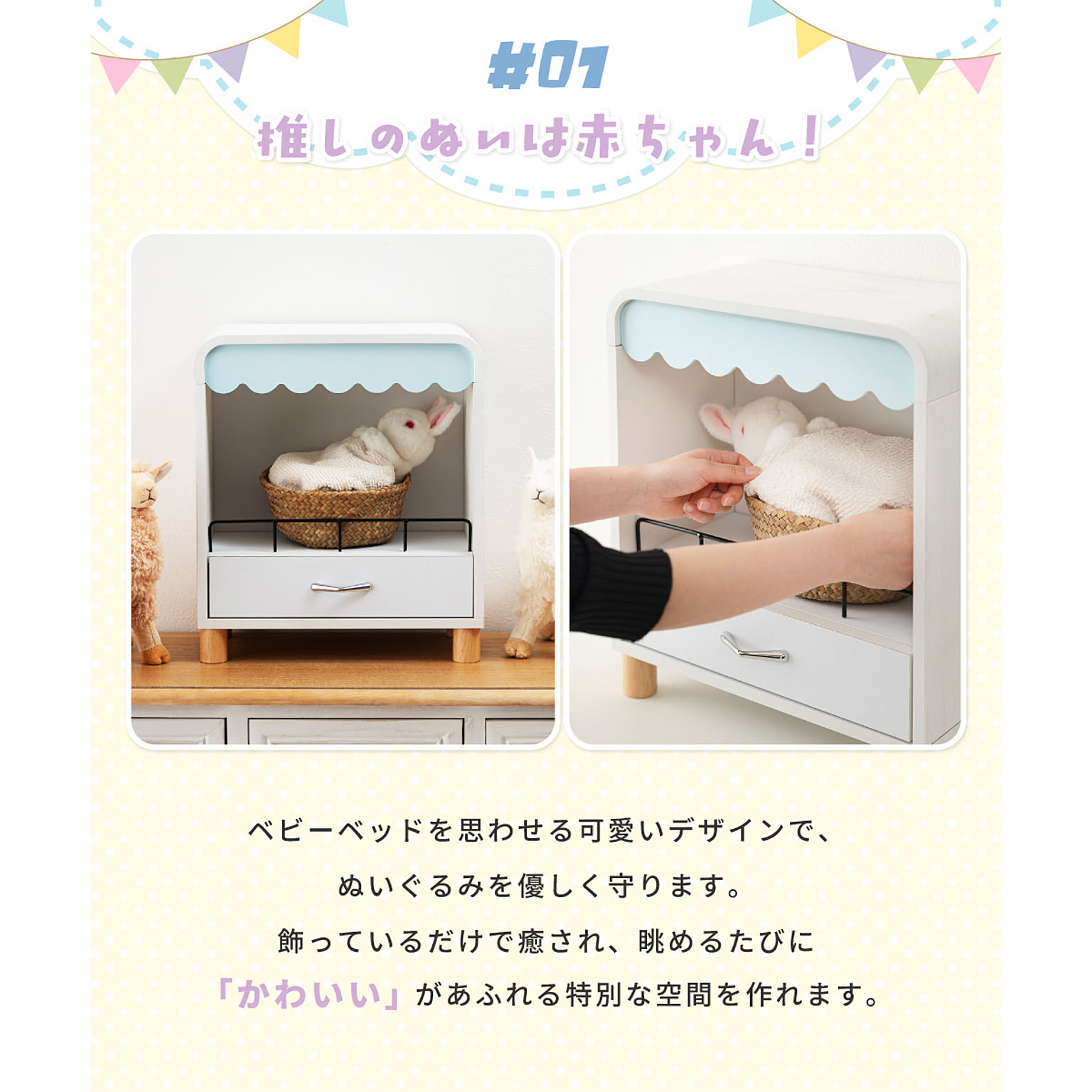 コレクションケース