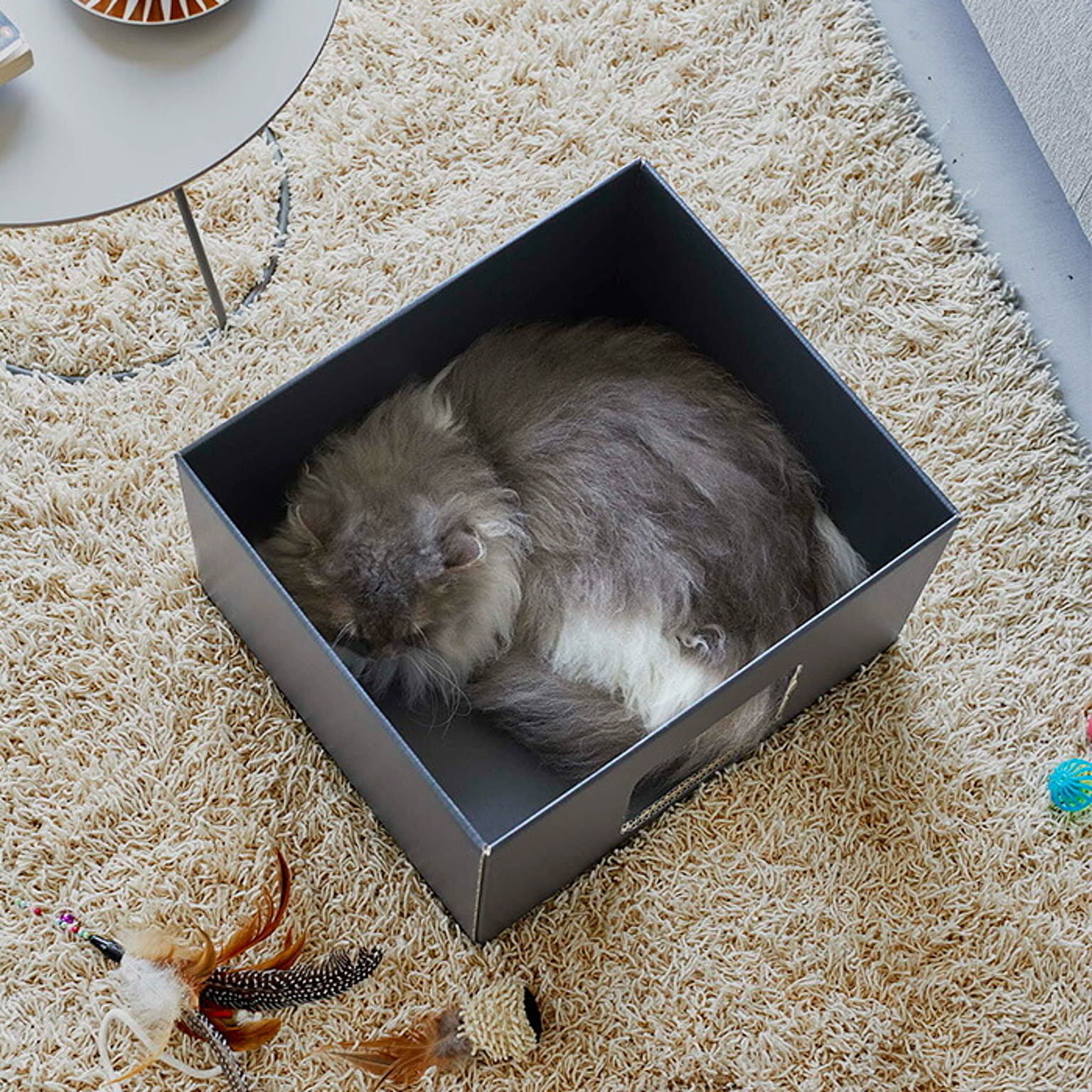 猫用インテリア・猫用家具