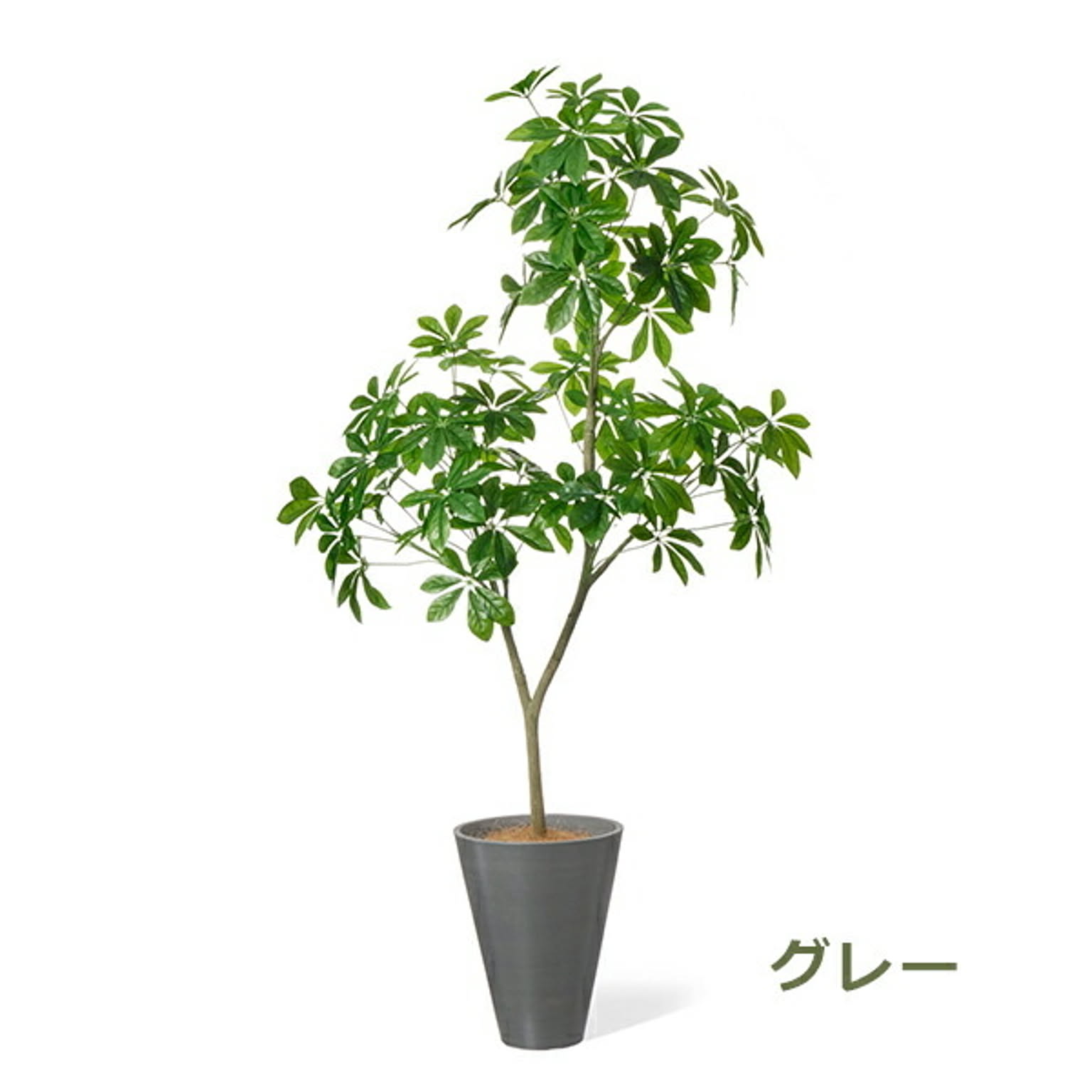 フェイクグリーン