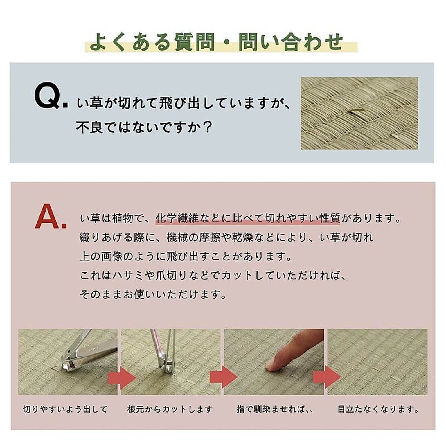 ござ・い草ラグ