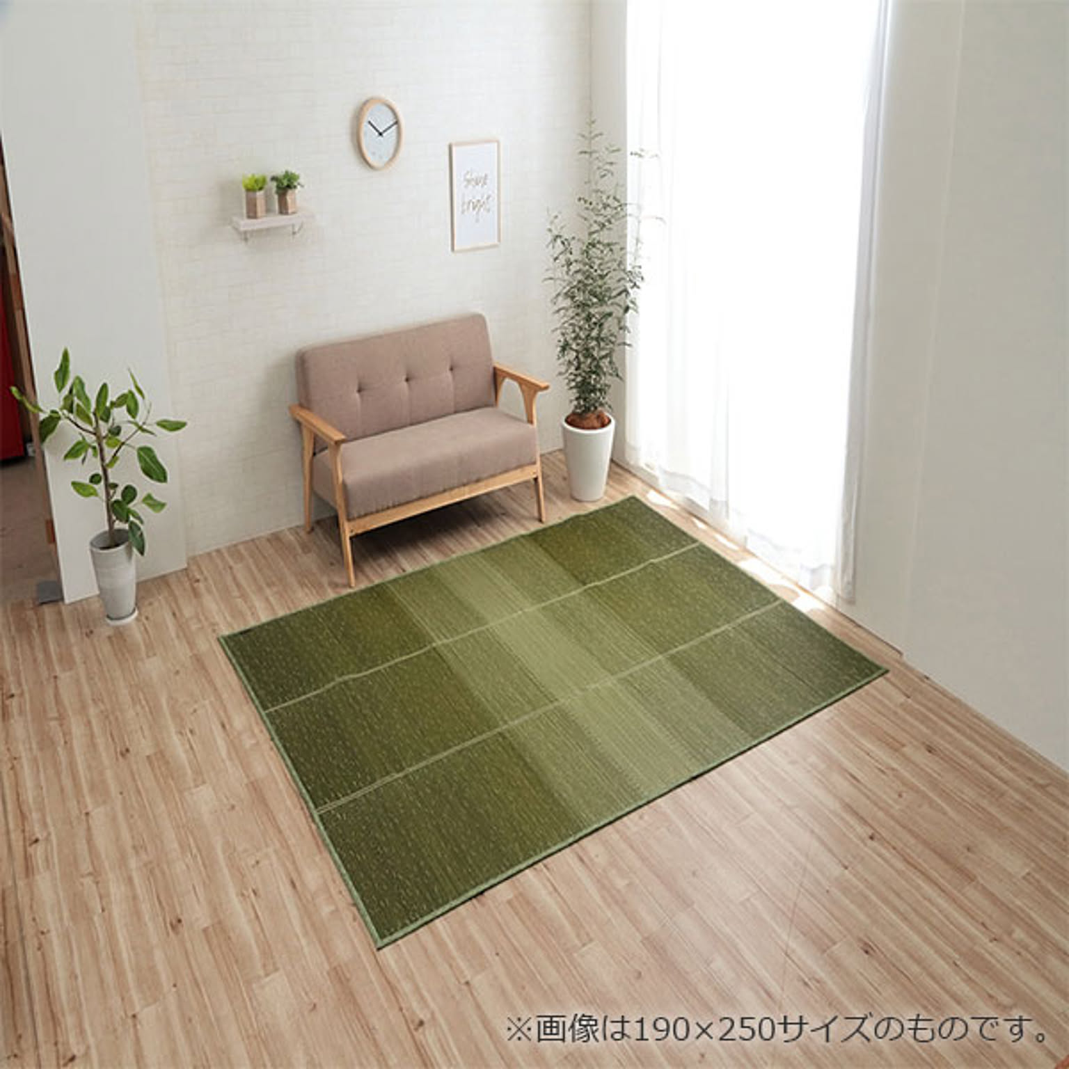 ござ・い草ラグ