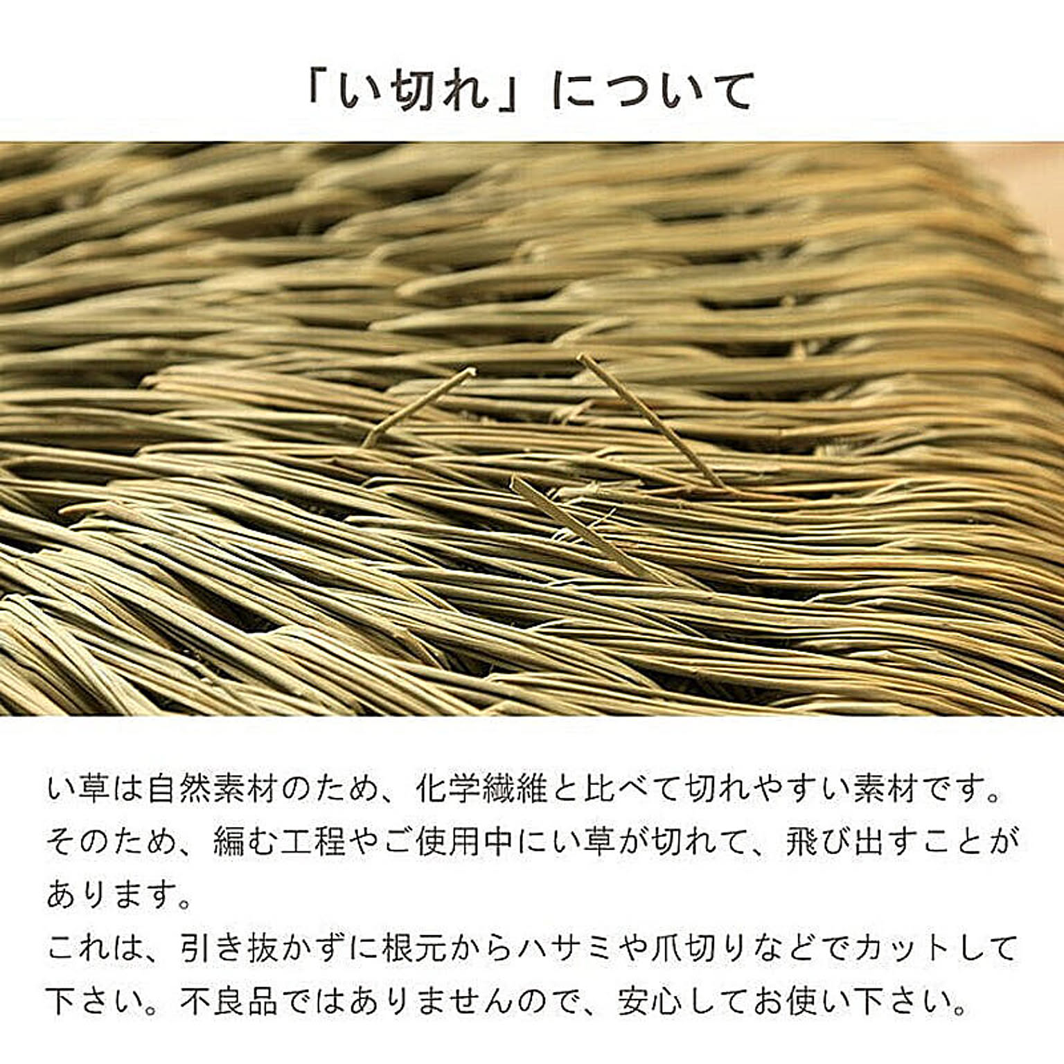 座布団・長座布団