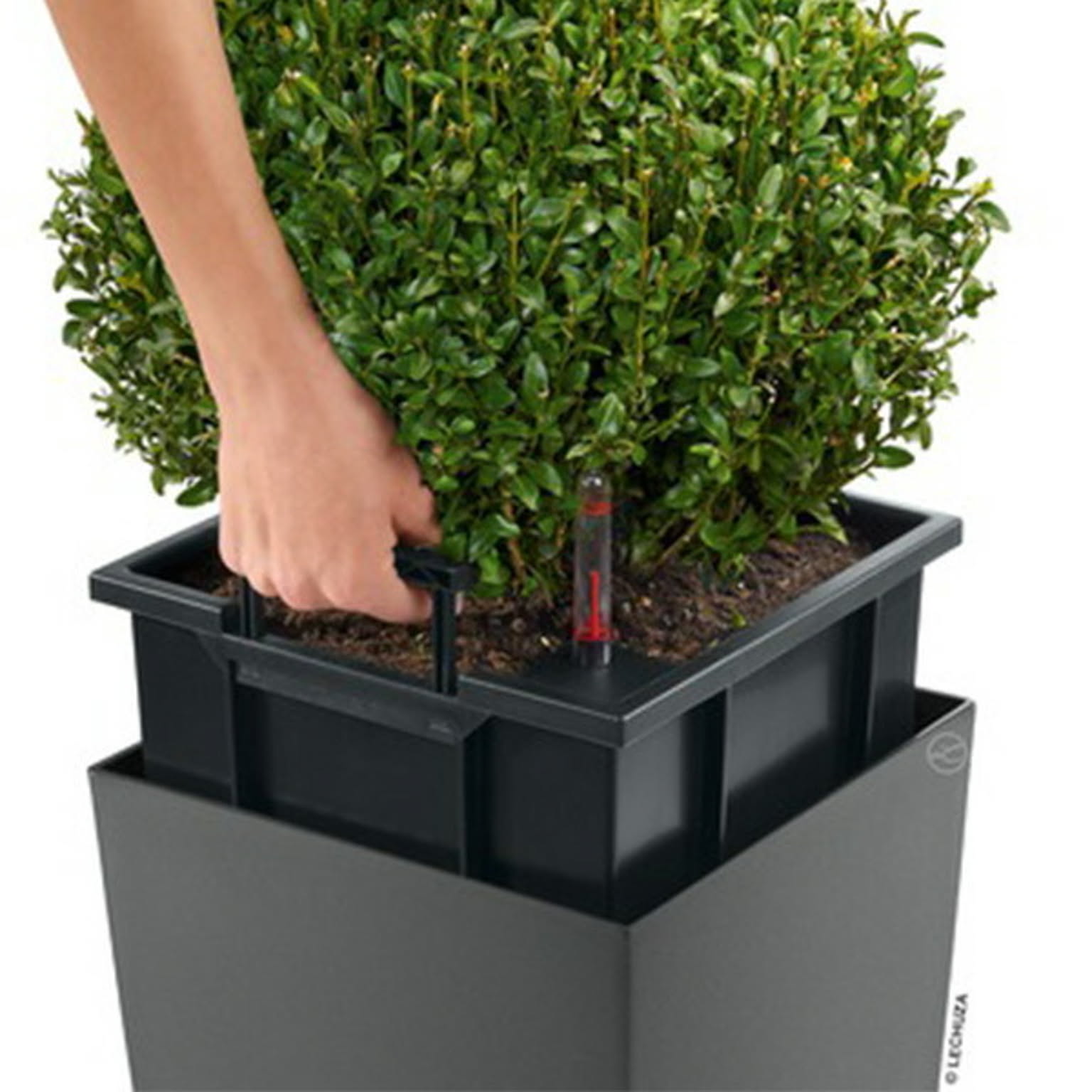 プランター・植木鉢