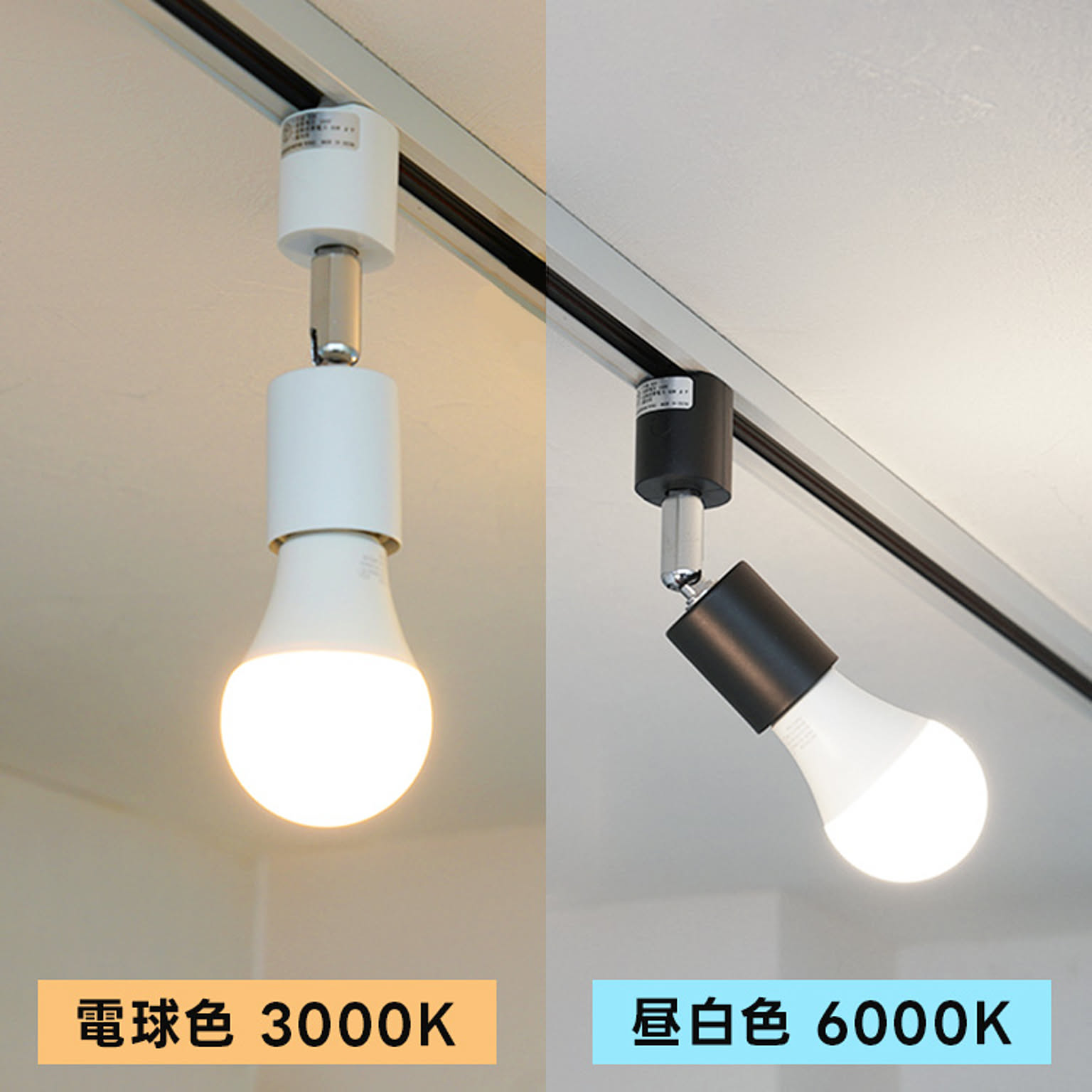 電球