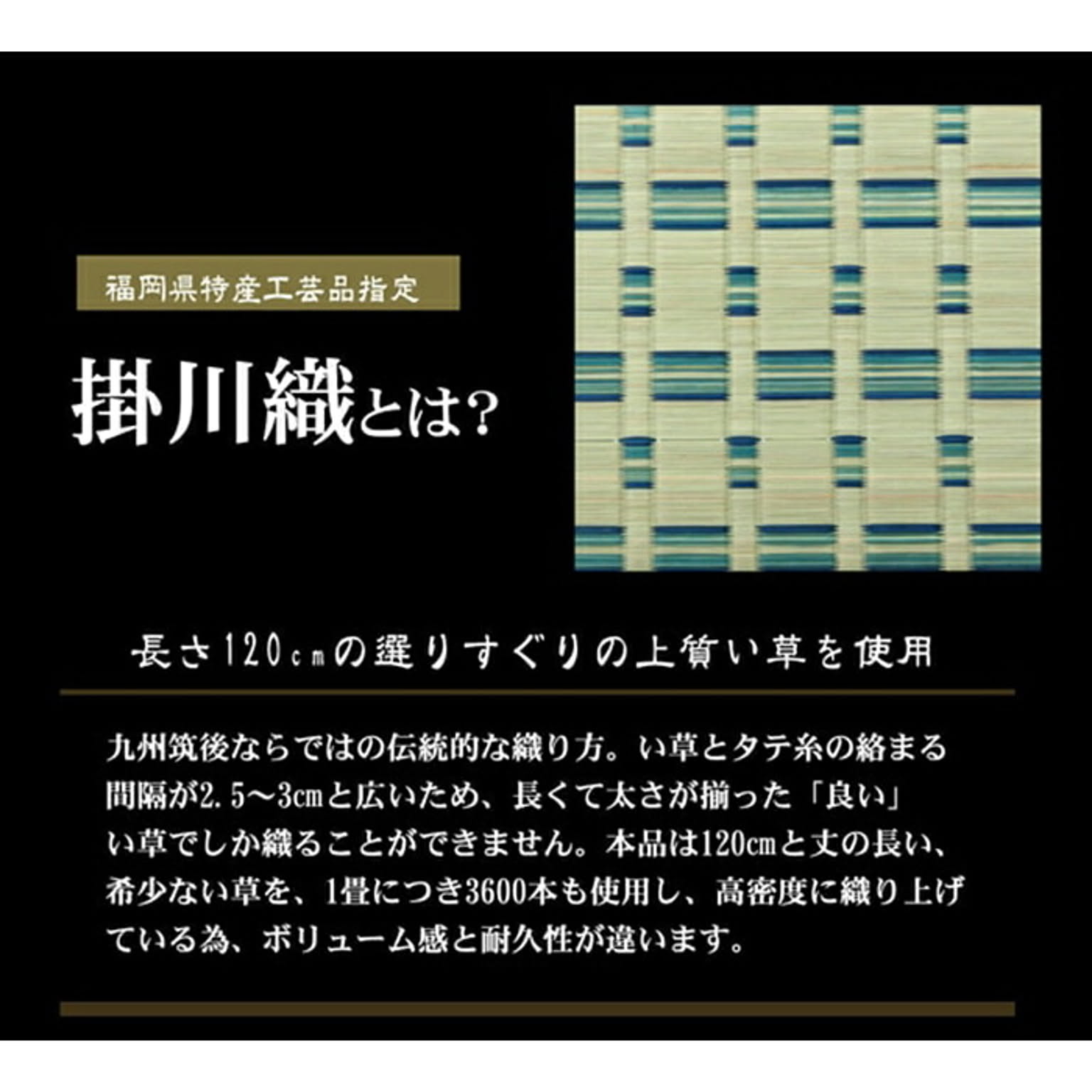 ござ・い草ラグ