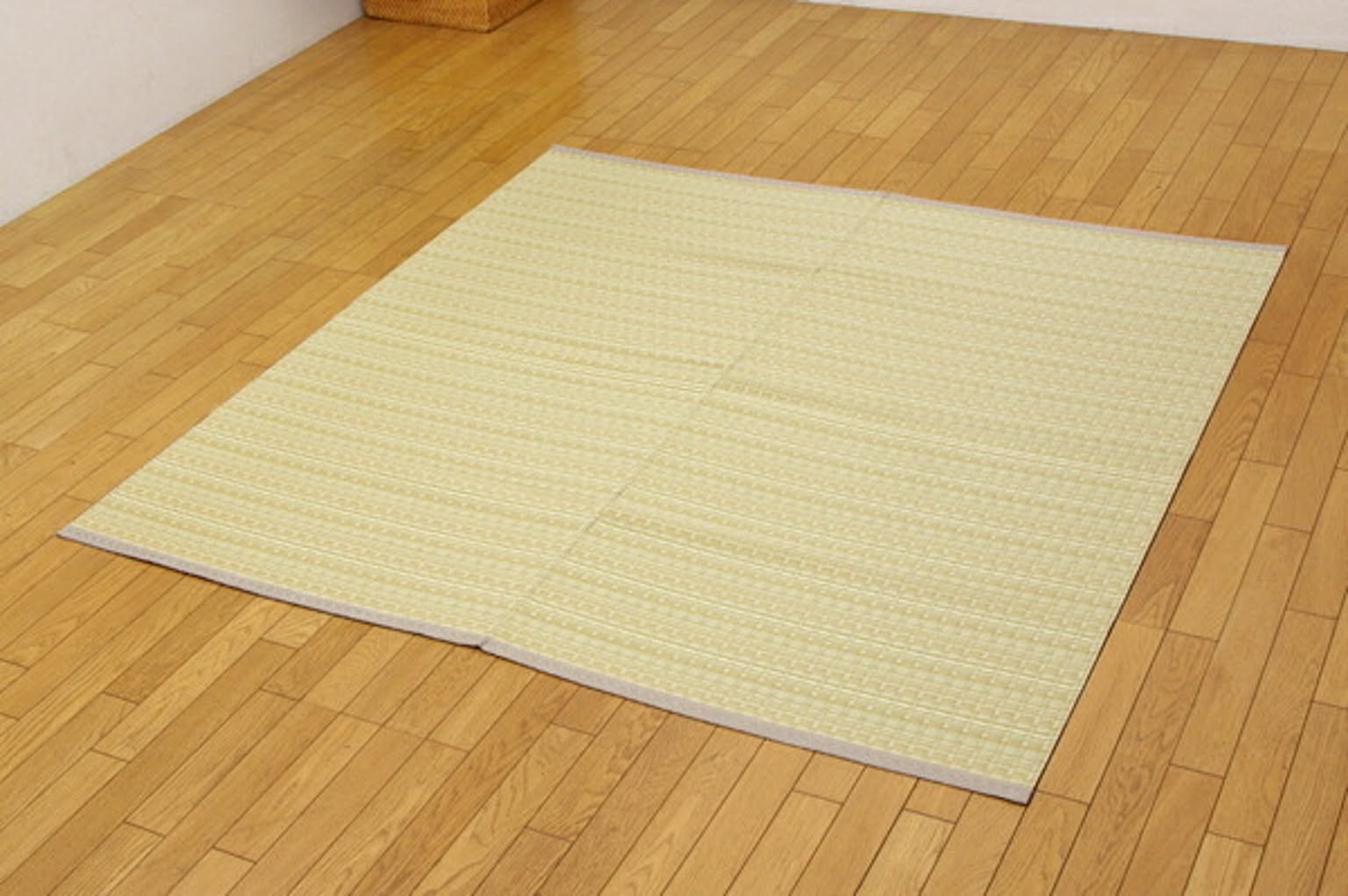 ござ・い草ラグ