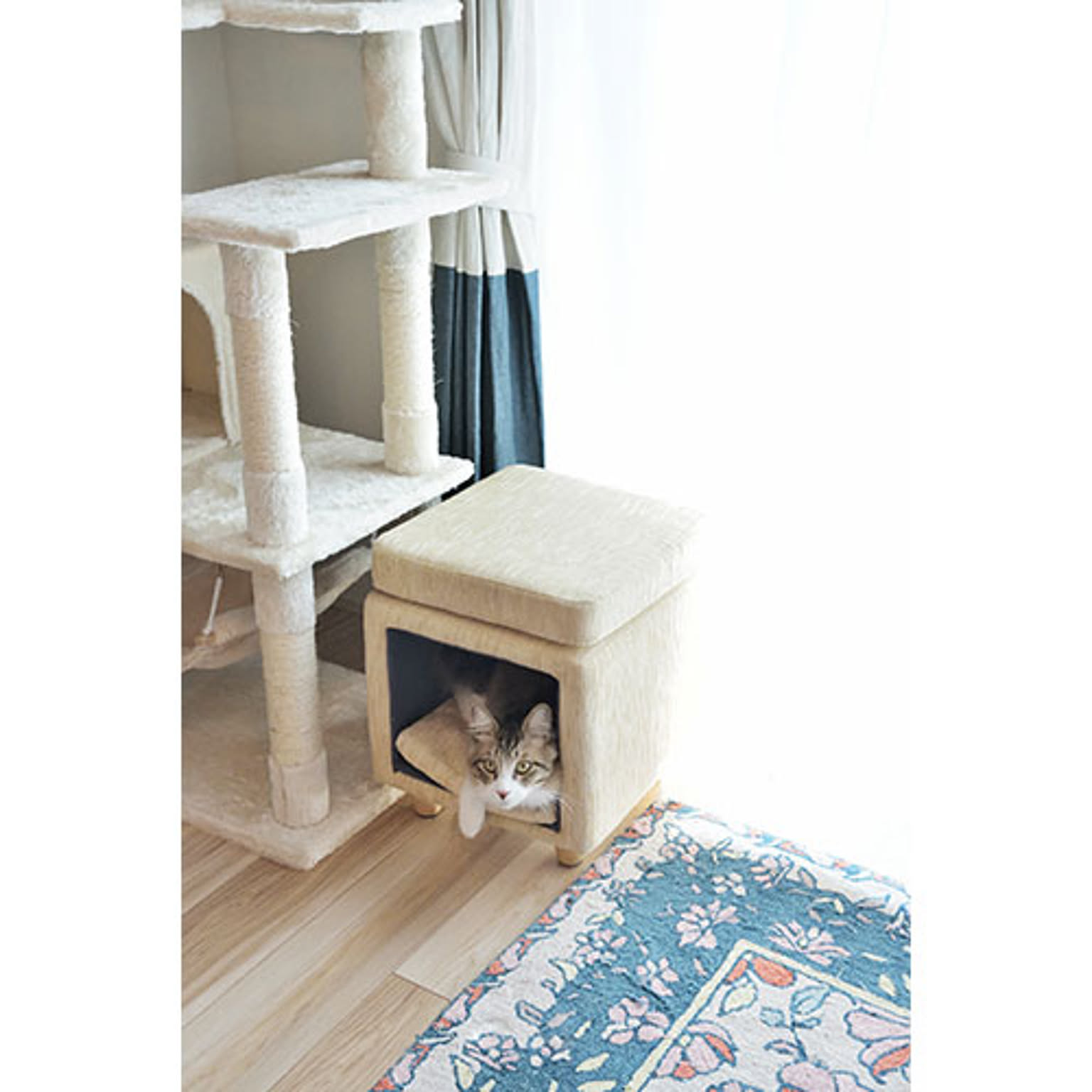 犬用インテリア・犬用家具