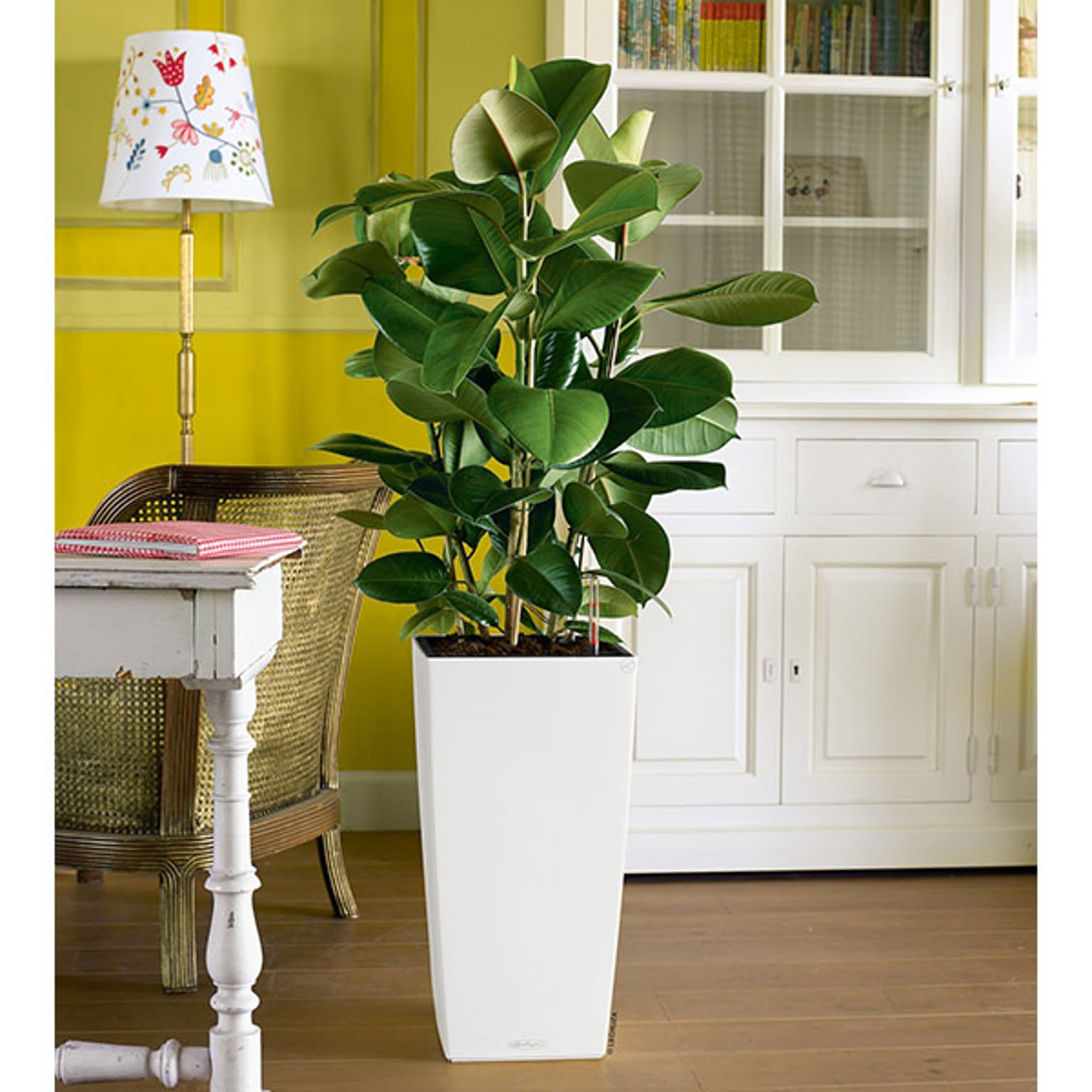 プランター・植木鉢
