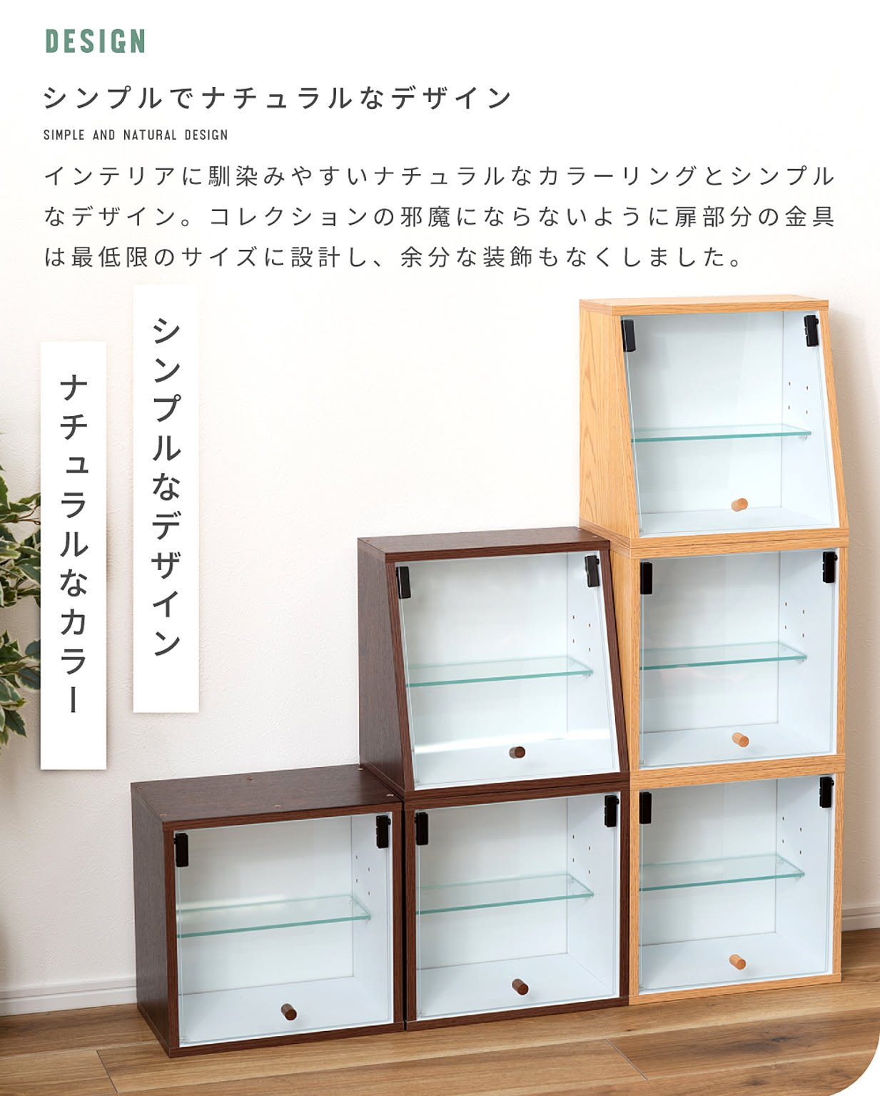コレクションケース