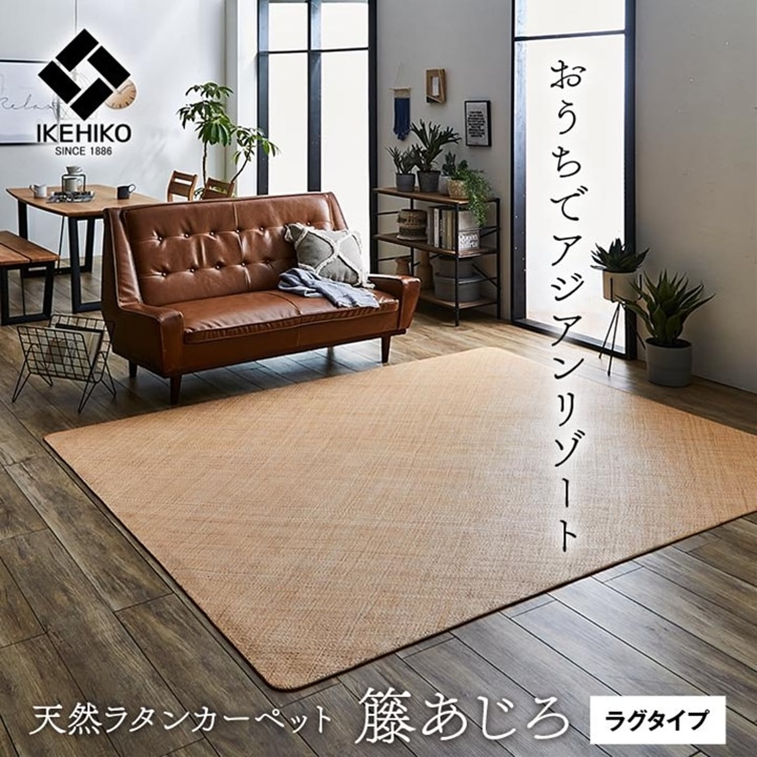 ござ・い草ラグ
