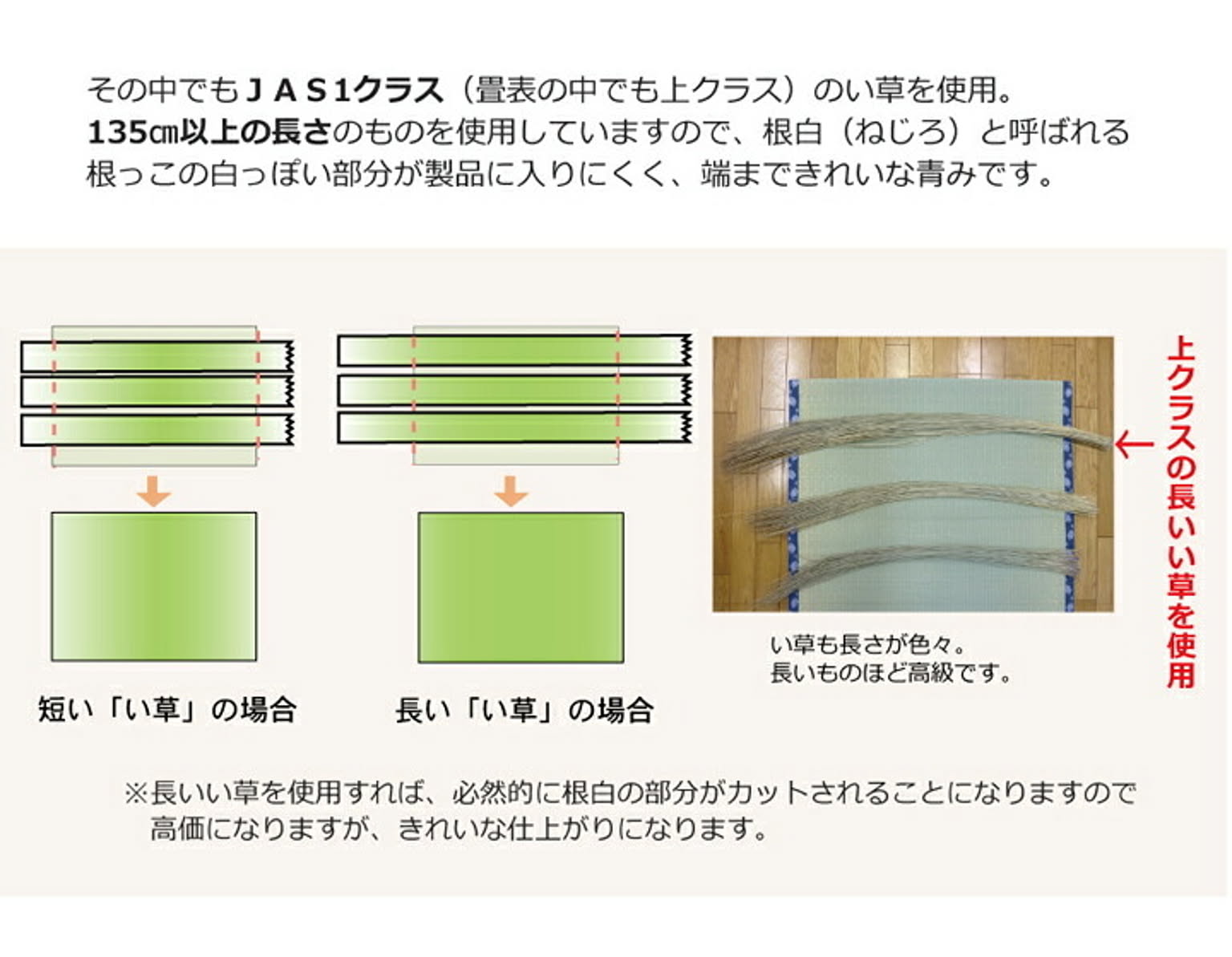 ござ・い草ラグ