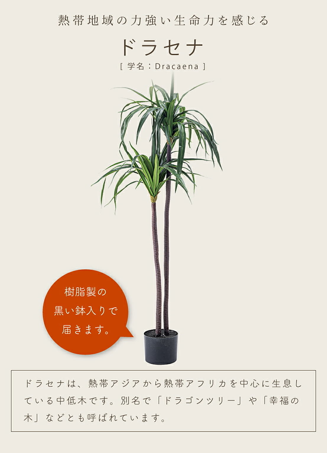 フェイクグリーン