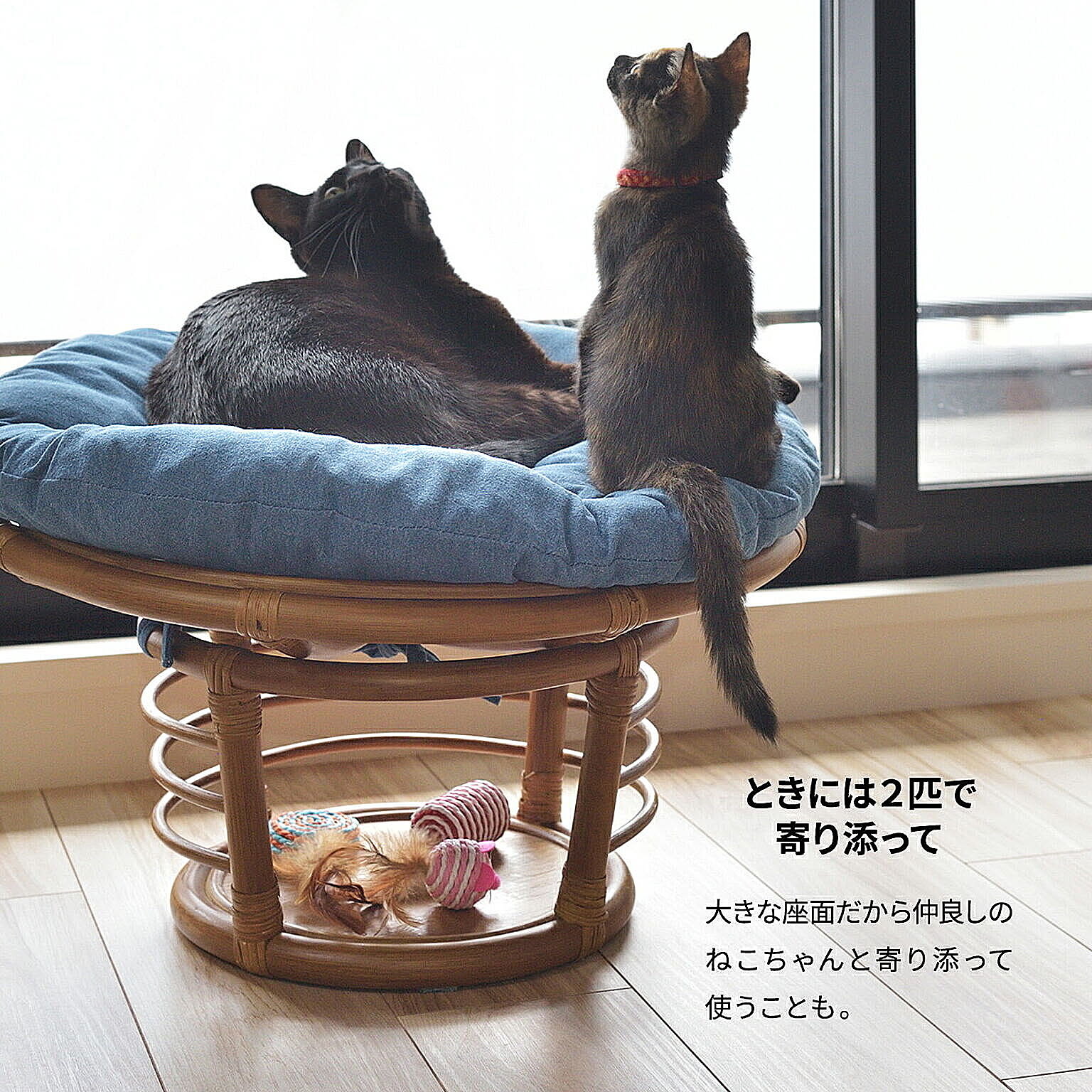 犬用インテリア・犬用家具