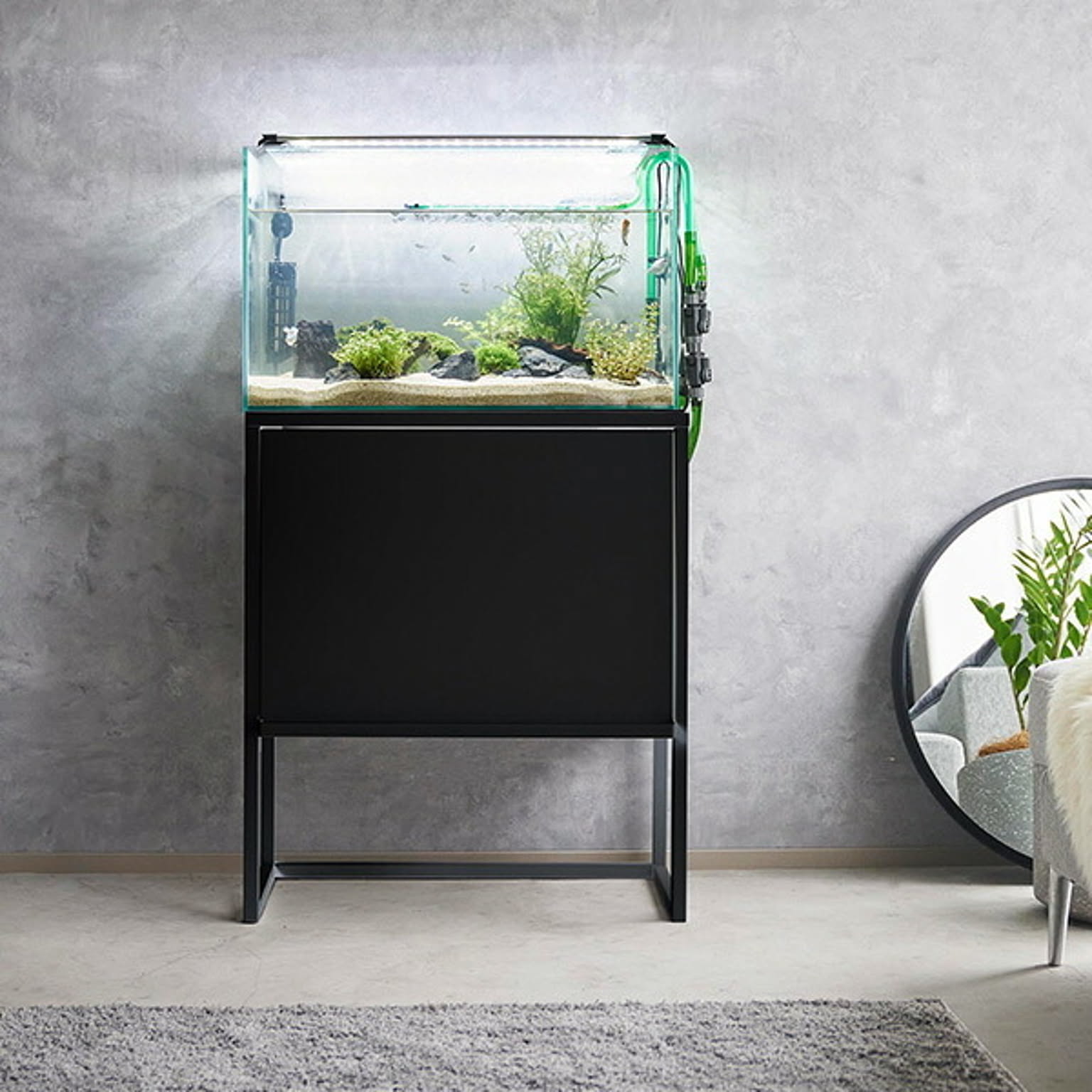 その他の動物のインテリア・その他の動物の家具