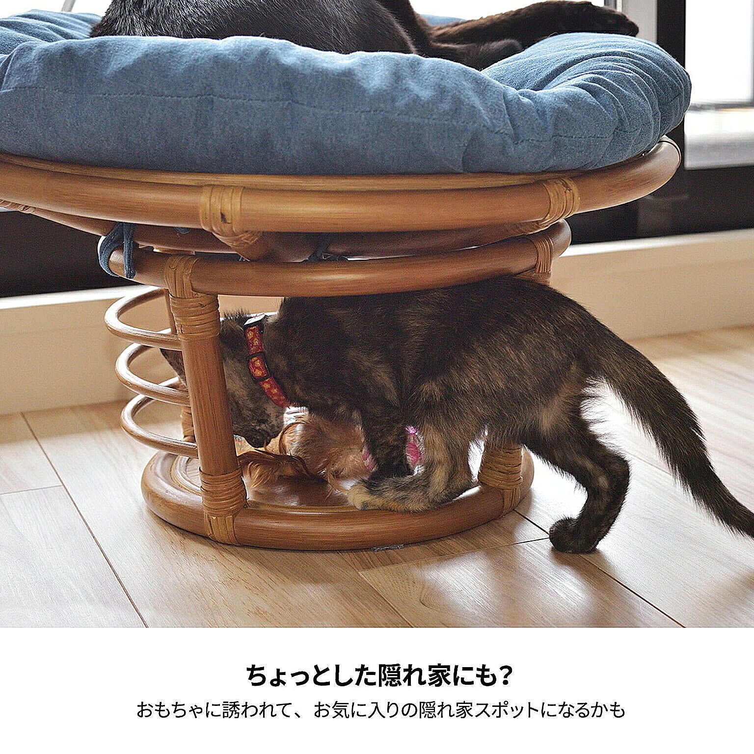 犬用インテリア・犬用家具