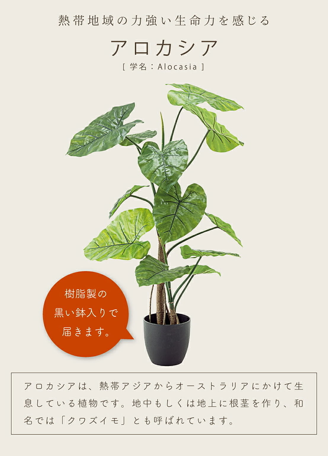 フェイクグリーン