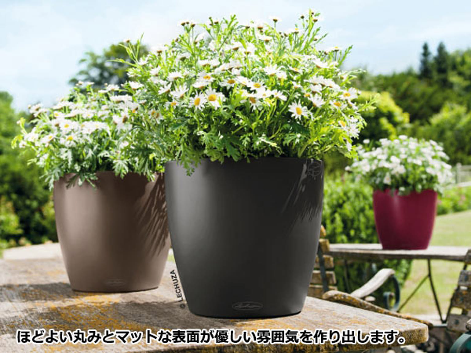 プランター・植木鉢