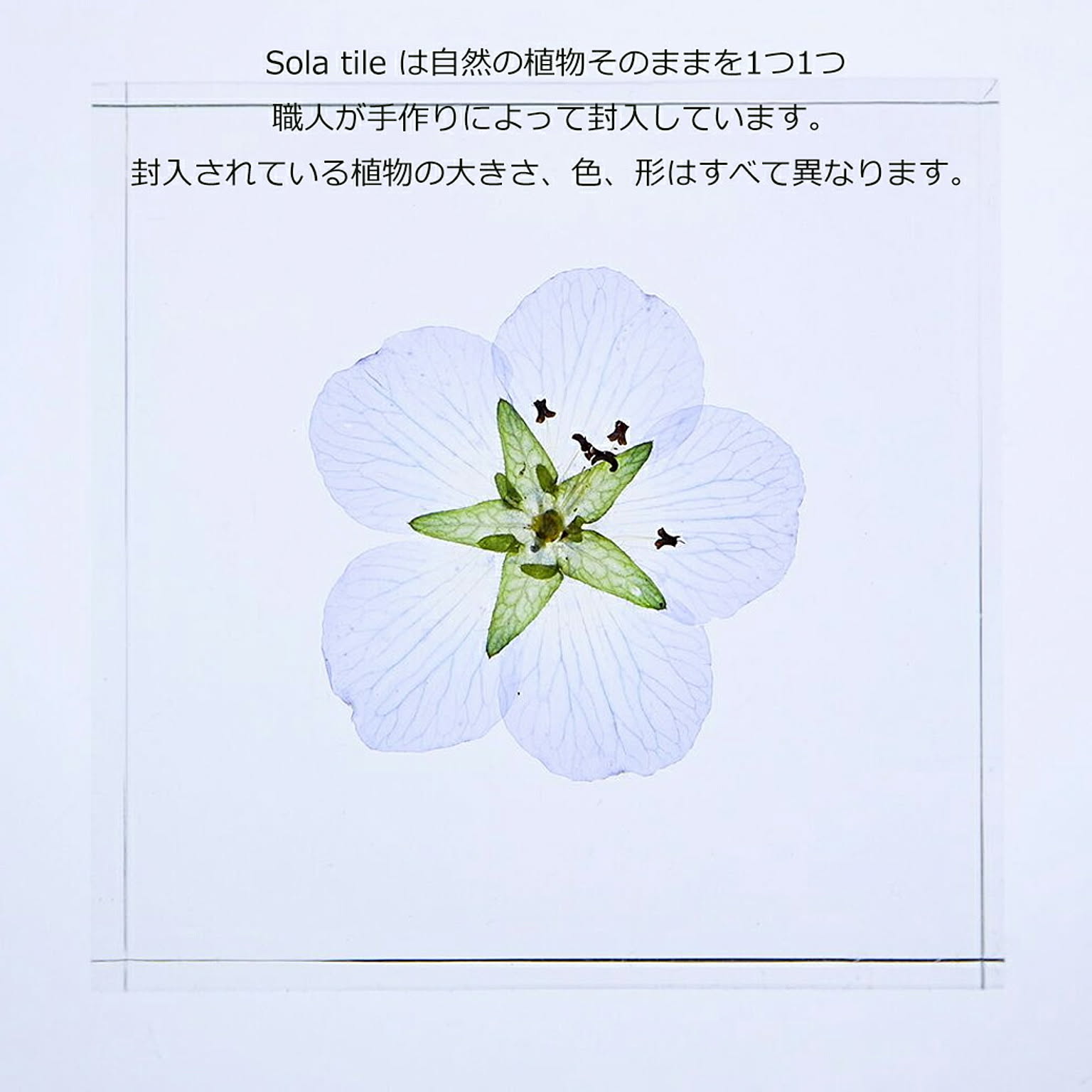 置物・オブジェ