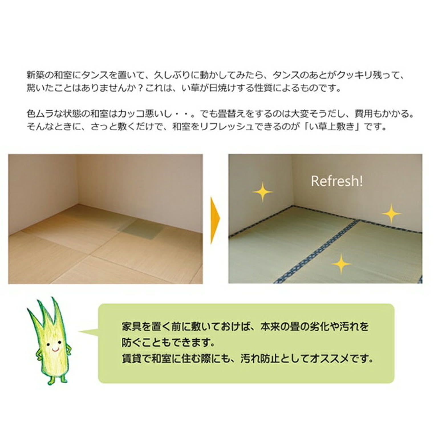 ござ・い草ラグ