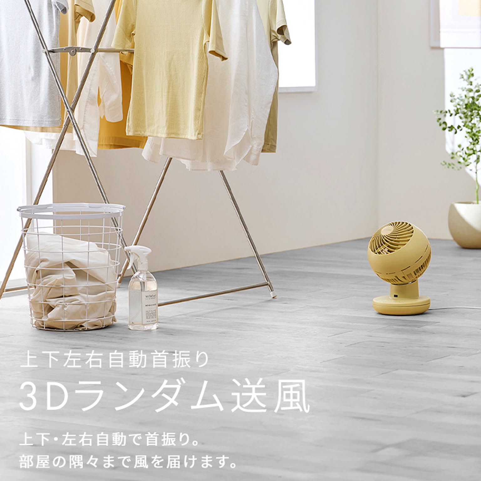 サーキュレーター