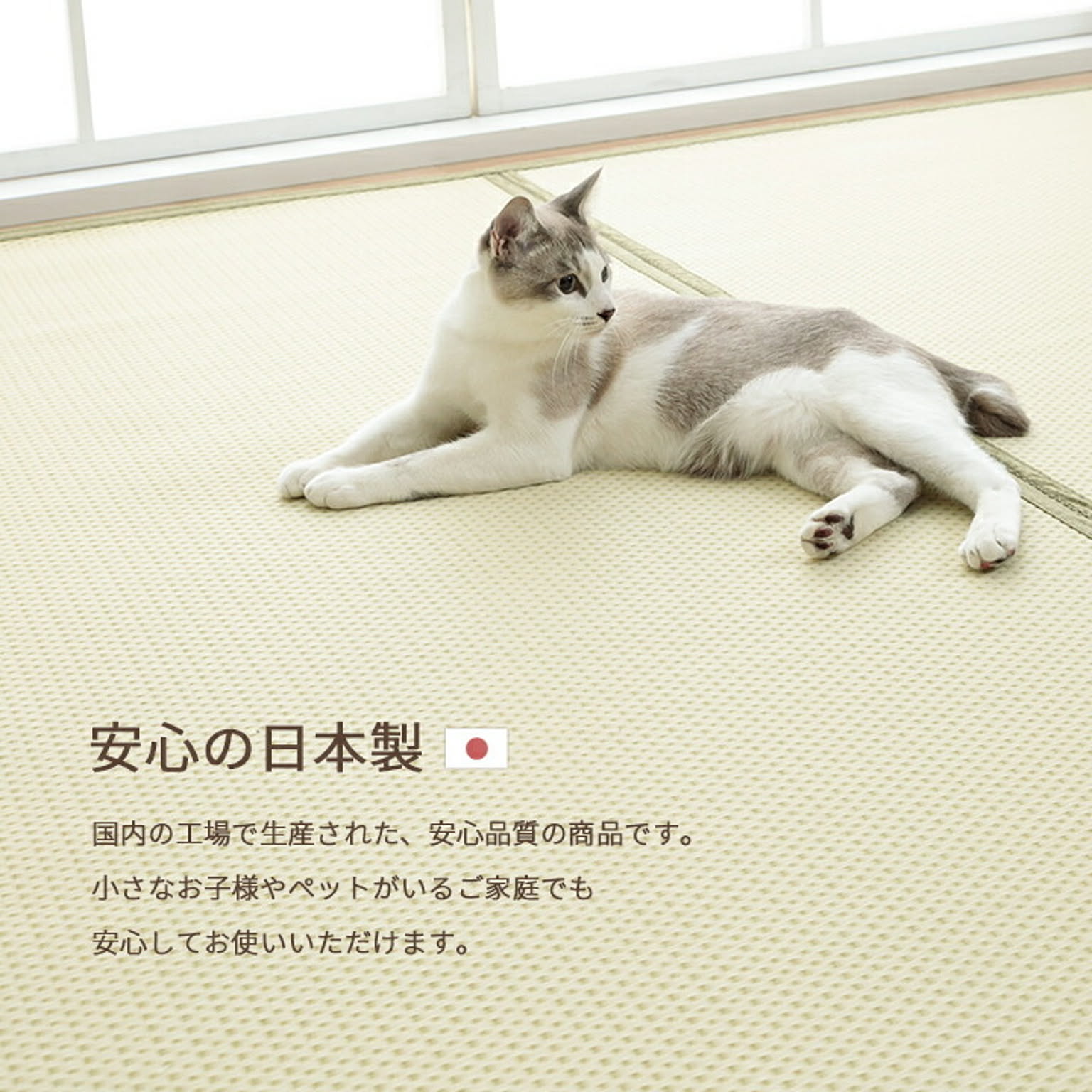 ラグ