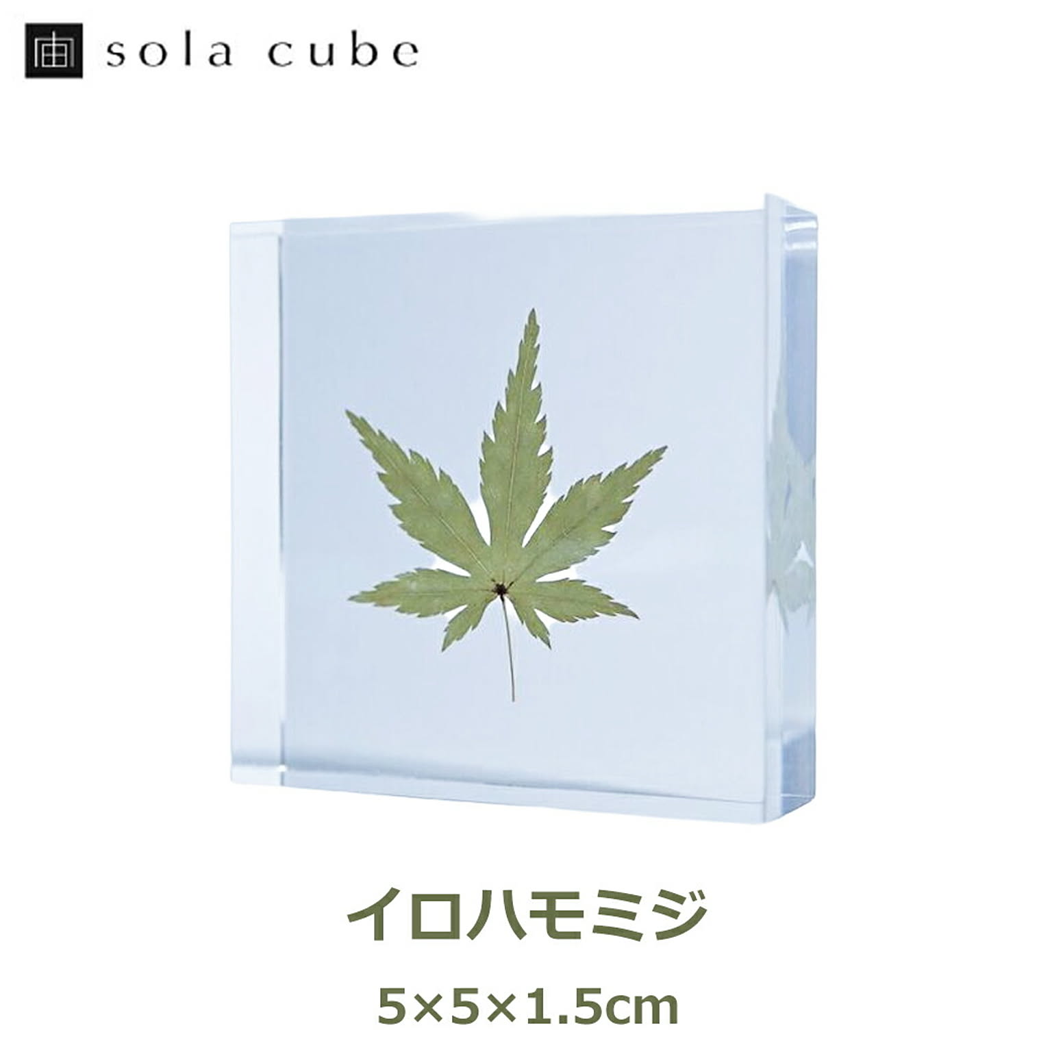 置物・オブジェ