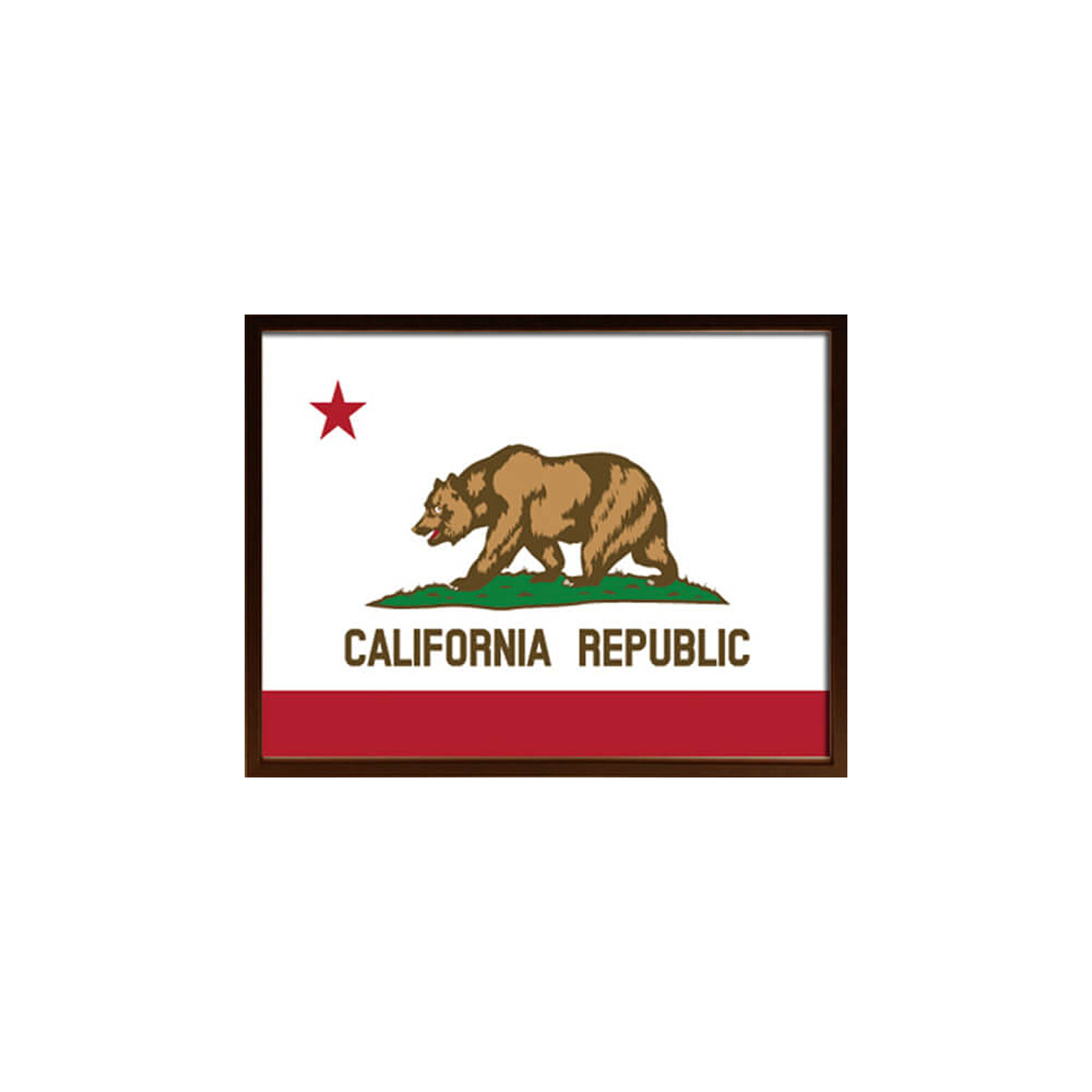 Art Frame California Flag アートフレーム m13170