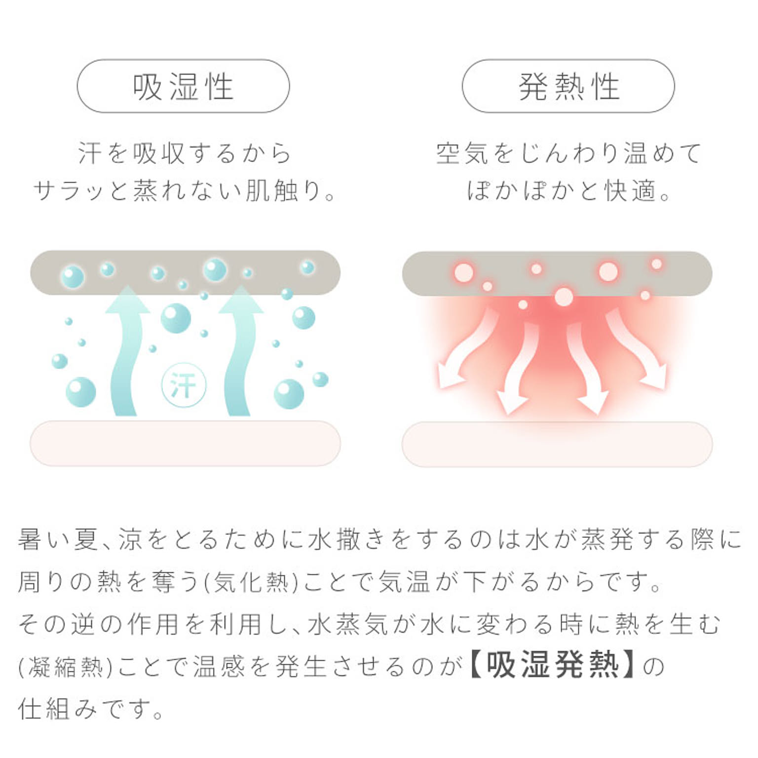 ブランケット・毛布