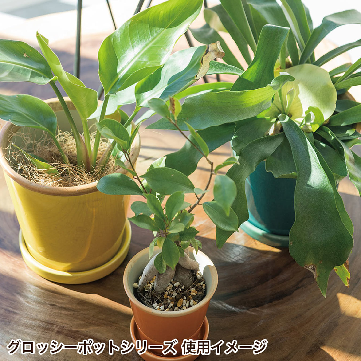 プランター・植木鉢