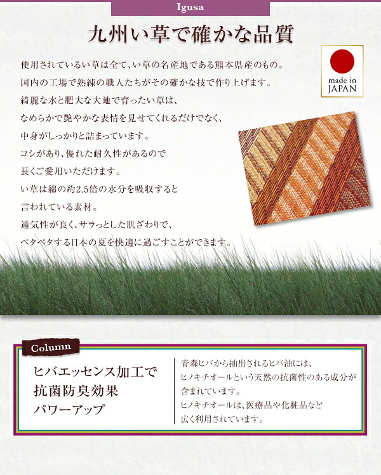 ござ・い草ラグ